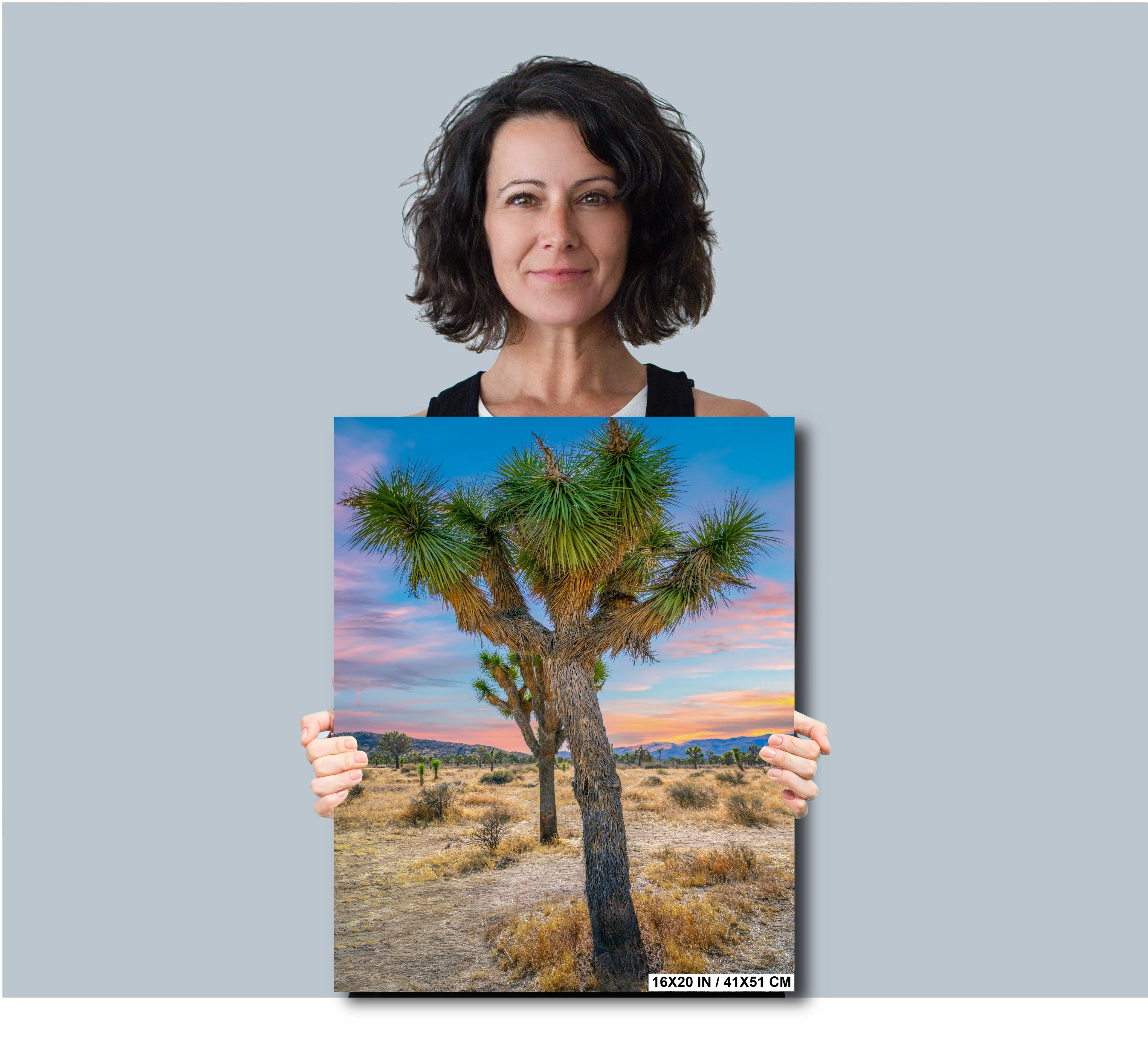 Joshua Tree National Park Print: California Desert Landscape Wall Art