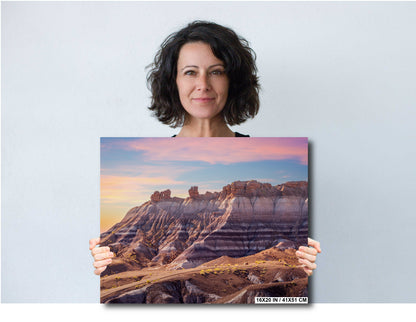 Petrified Forest Arizona Landscape Photography Wall Art Photography