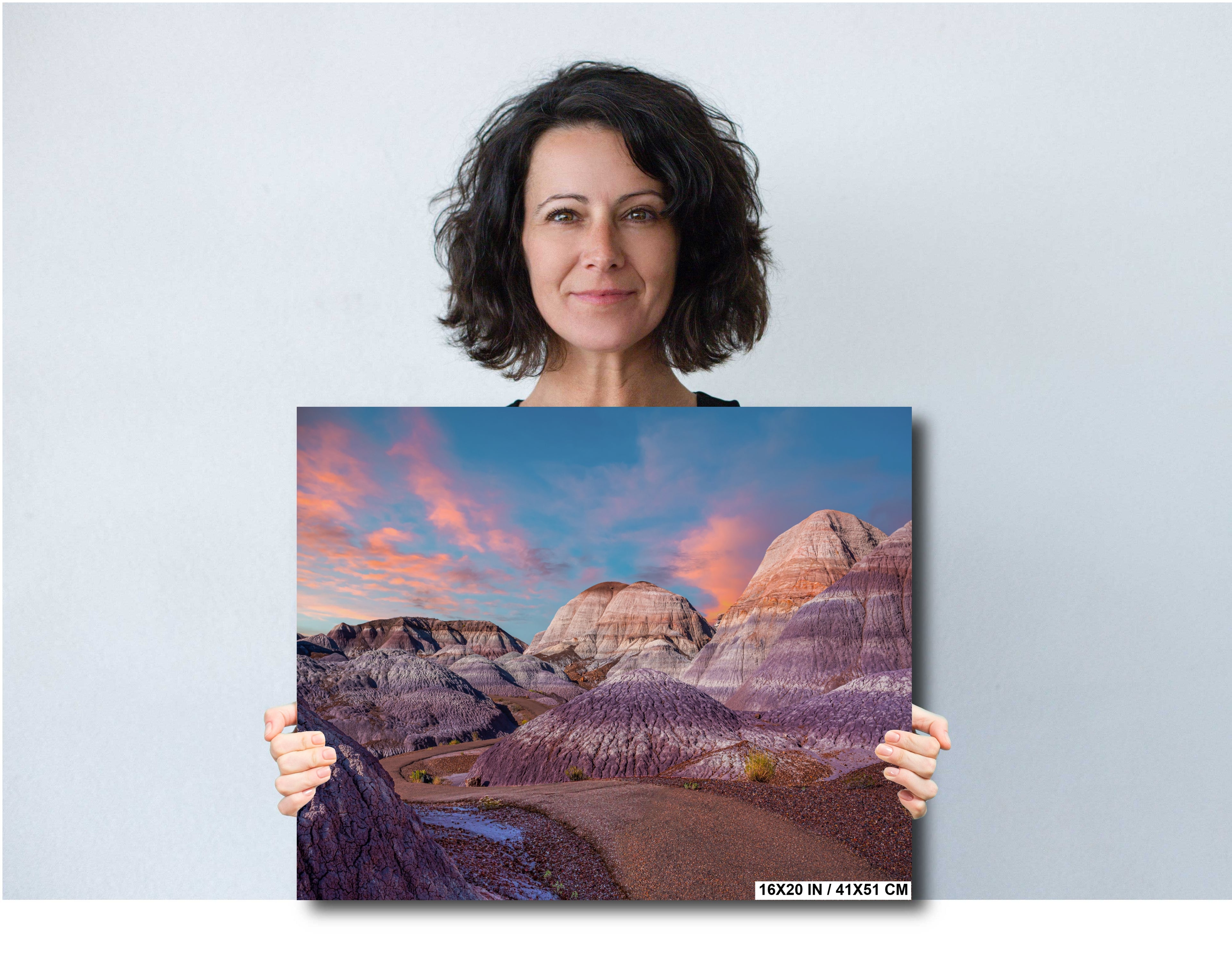 Nature's Ancient Relics: Petrified Forest National Park Arizona Wall Art Photography