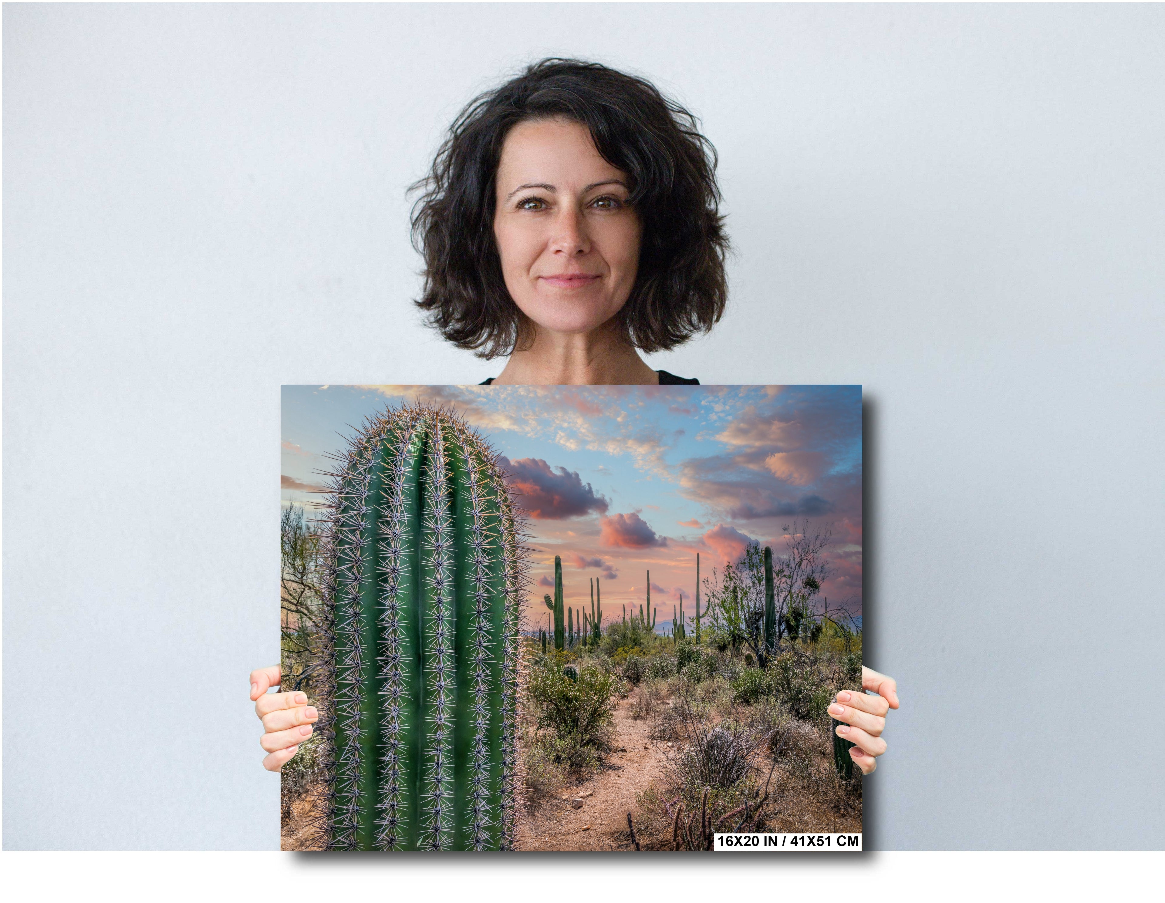 Saguaro Cactus Sunset Gold Canyon Arizona Photography Wall Art