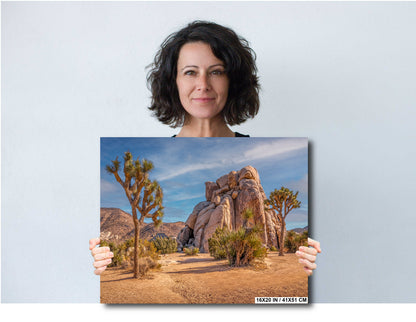 Joshua Tree Rock Art - California Desert Landscape Canvas Print | Premium Wall Decor
