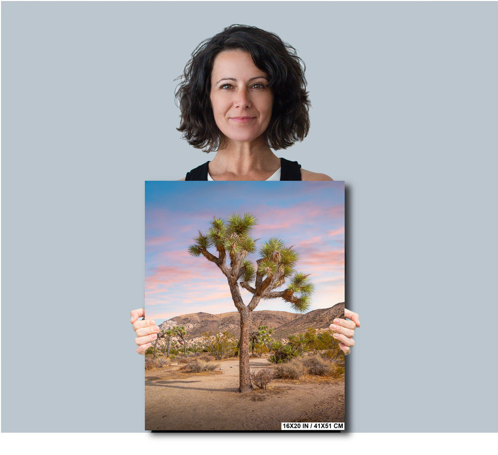 Journey Through Joshua Tree National Park California Wall Art Photography