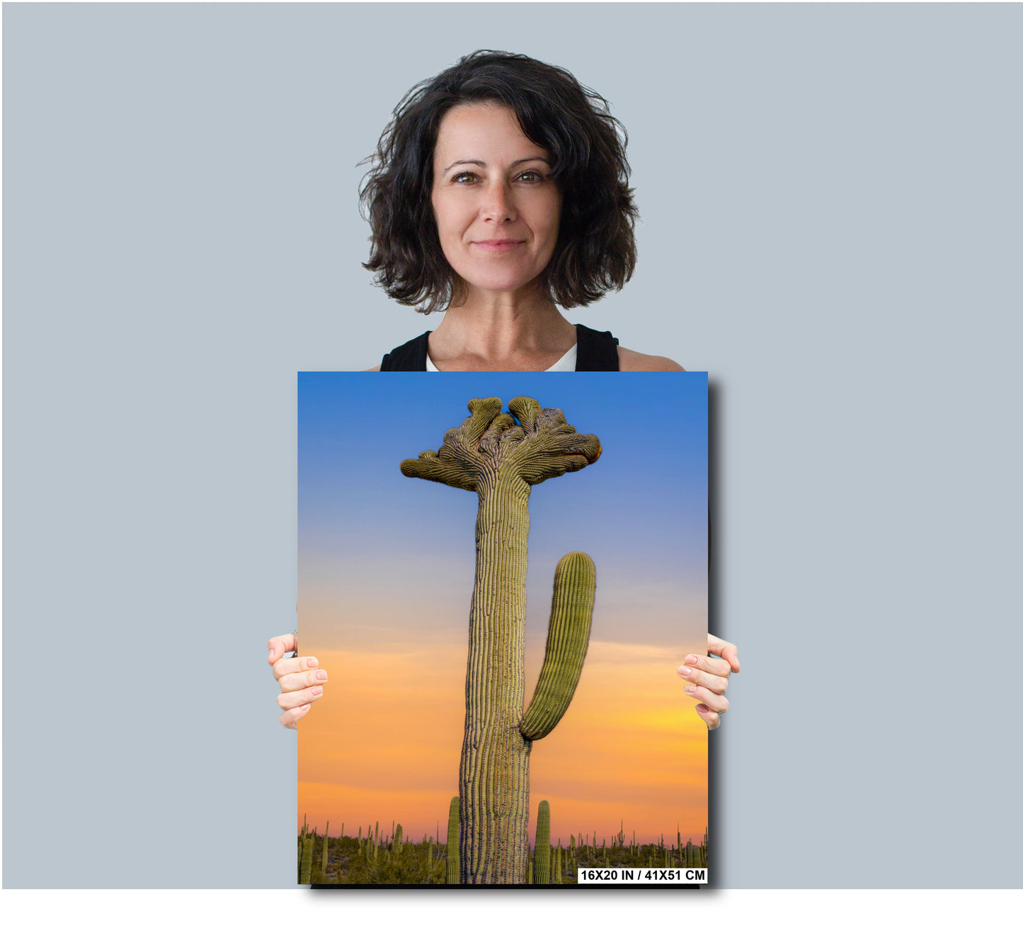 Quirky Crowns: Crested Saguaro Cactus Photography Wall Art