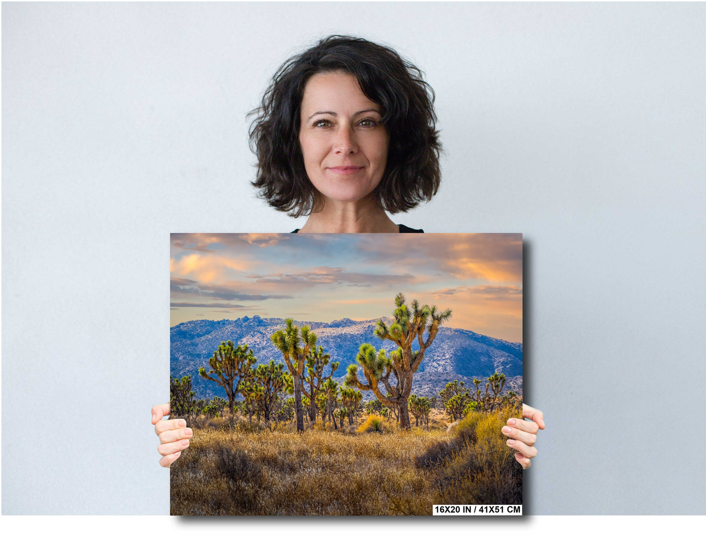 Joshua Tree Wall Art - California Desert Landscape Canvas Print | Rugged Rock Decor