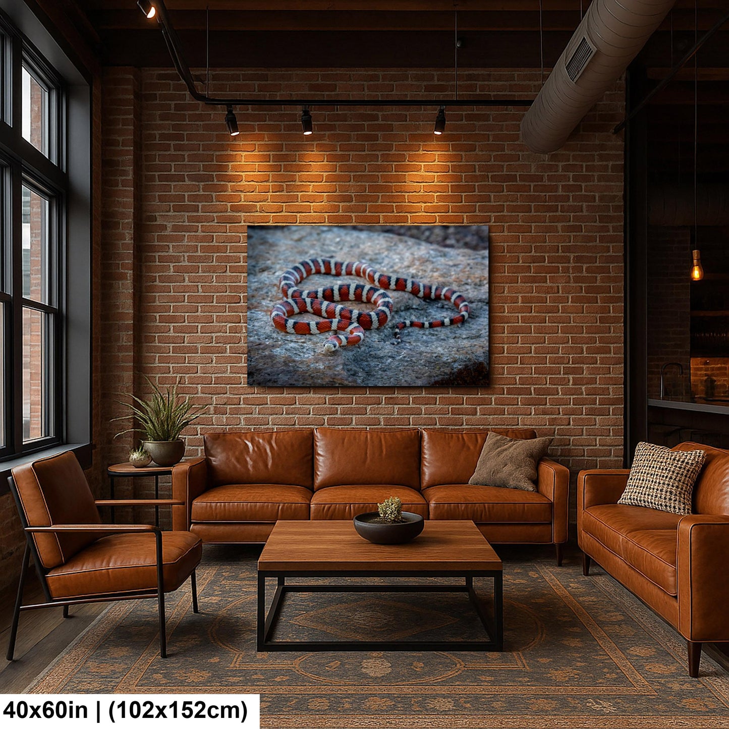 Arizona Mountain Kingsnake Print – Vibrant Desert Wildlife Art Canvas