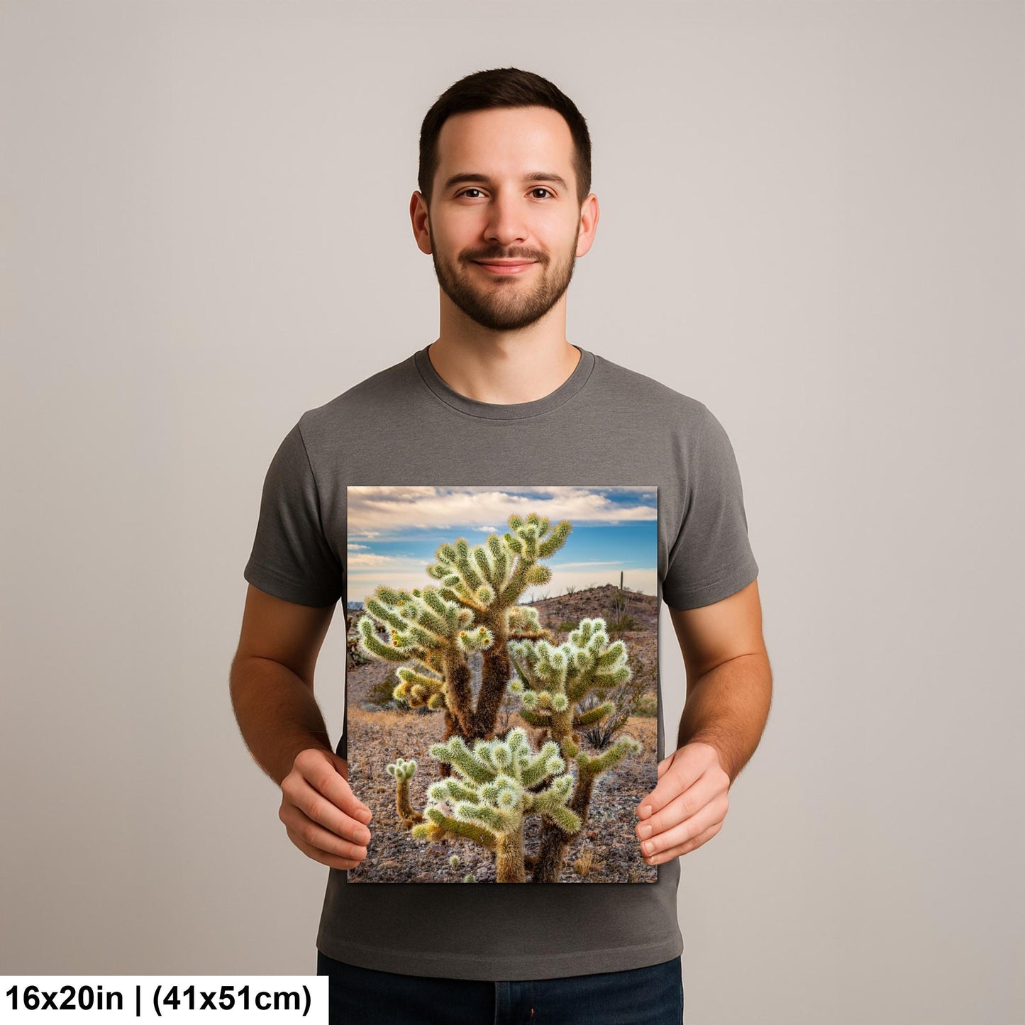Teddy Bear Cholla Cactus Sonoran Desert Arizona Photography Print, Southwest Desert Wall Art