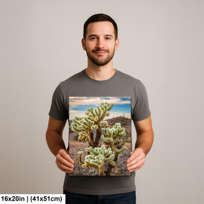 Teddy Bear Cholla Cactus Sonoran Desert Arizona Photography Print, Southwest Desert Wall Art