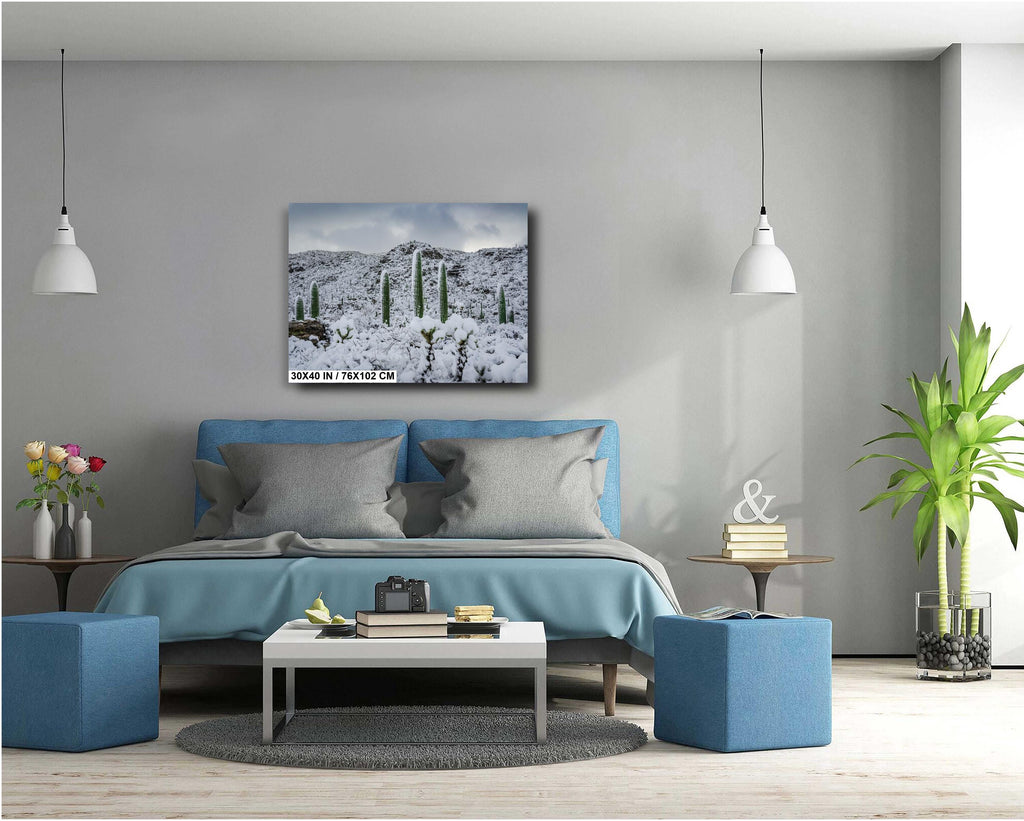 Saguaro National Park Winter Snow Photography Print: Tucson Desert Wall Art