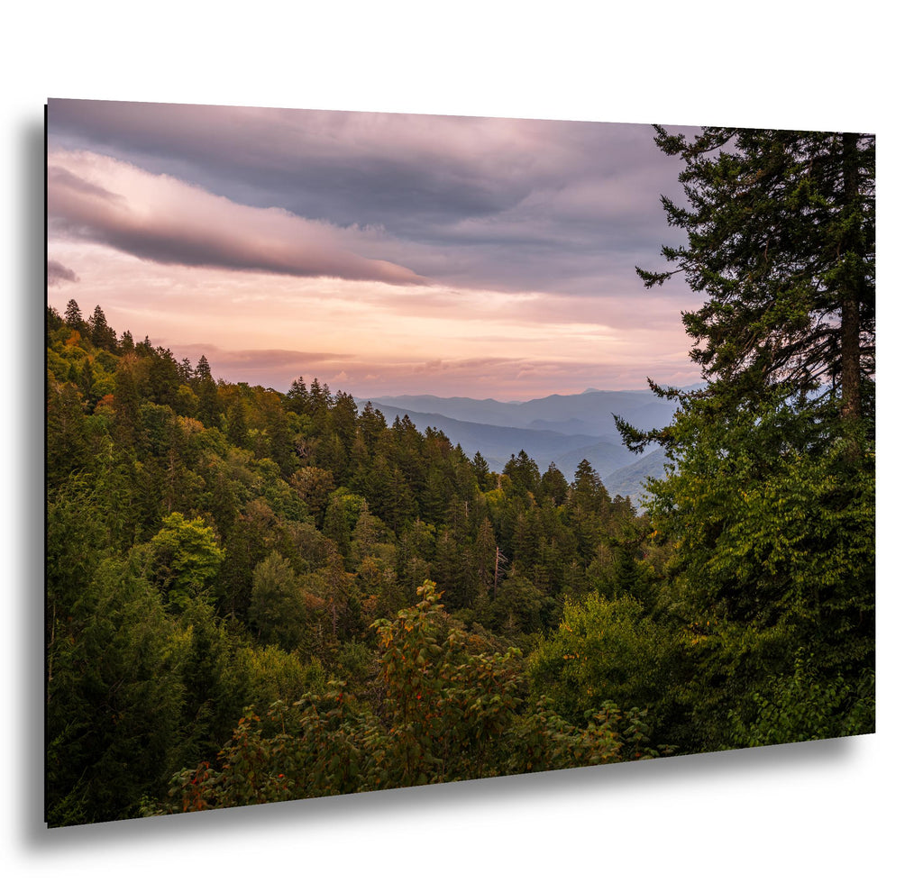 Evergreen Ridge: Great Smoky Mountains National Park TN NC Photo Wall Art