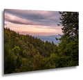 Evergreen Ridge: Great Smoky Mountains National Park TN NC Photo Wall Art