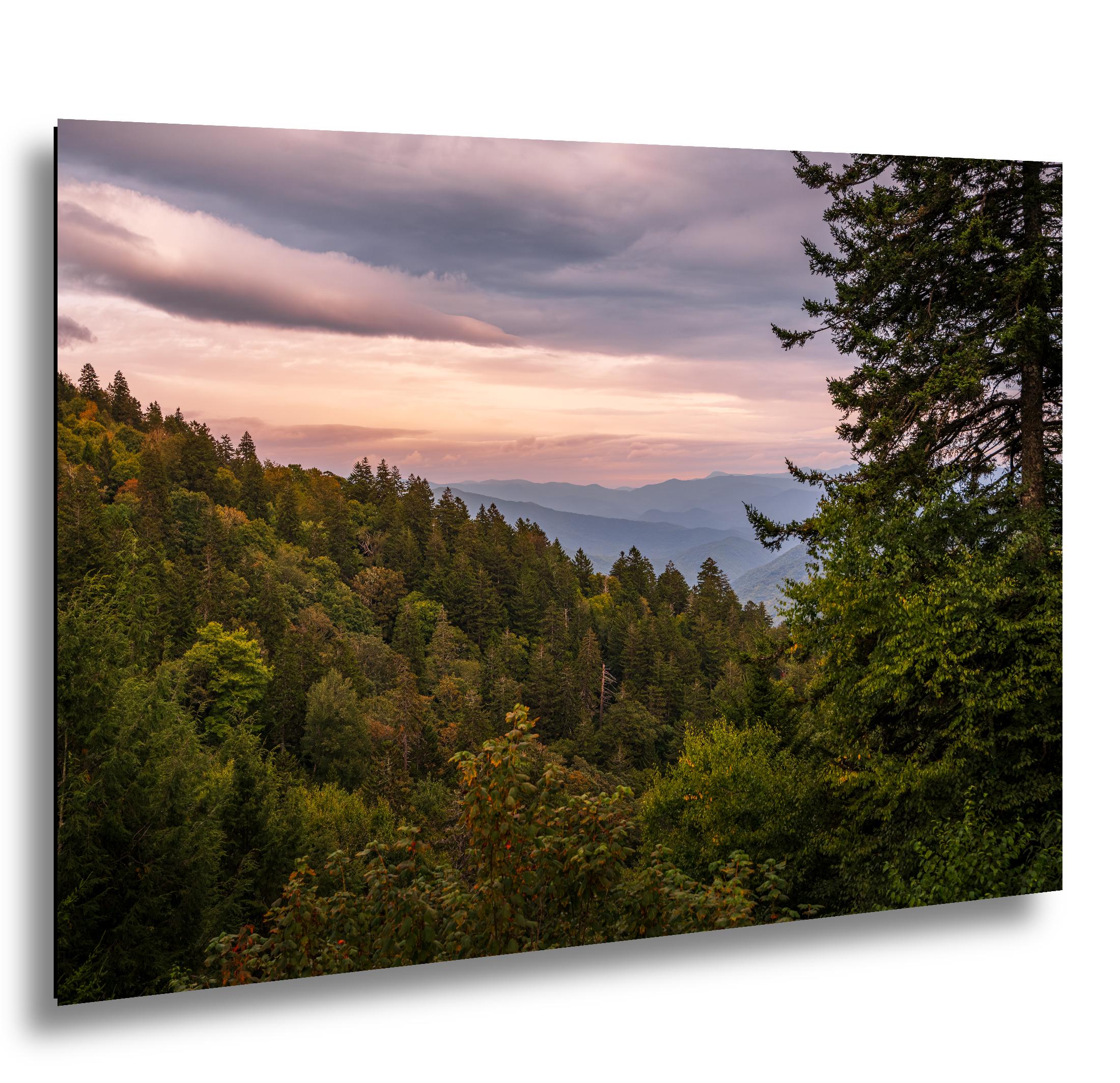 Evergreen Ridge: Great Smoky Mountains National Park TN NC Photo Wall Art