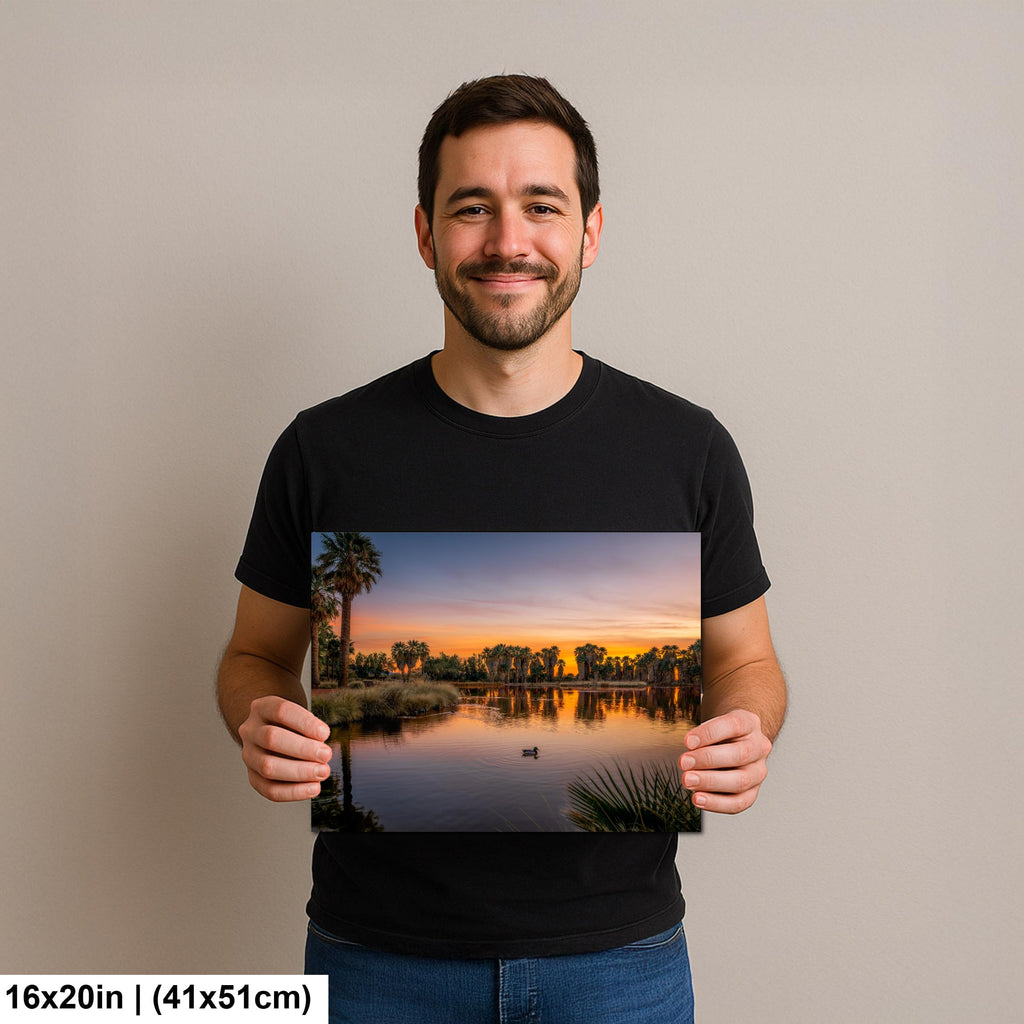 Agua Caliente Park Sunset Reflection, Tucson Arizona Photography Print, Desert Oasis Wall Art, Palm Tree Landscape Decor