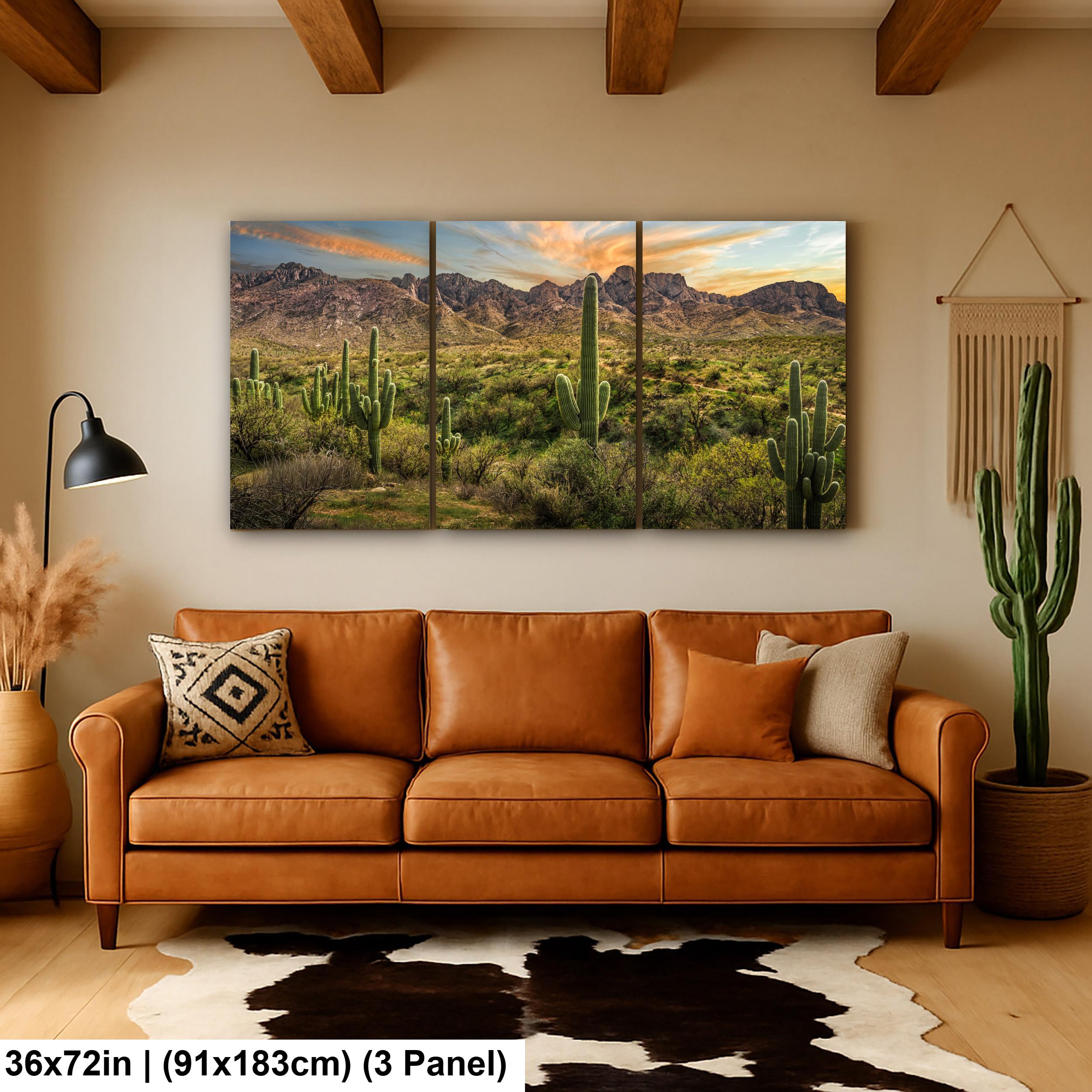 Santa Catalina Mountains with Saguaros Photography Print, Catalina State Park Tucson Arizona Desert Landscape Wall Art