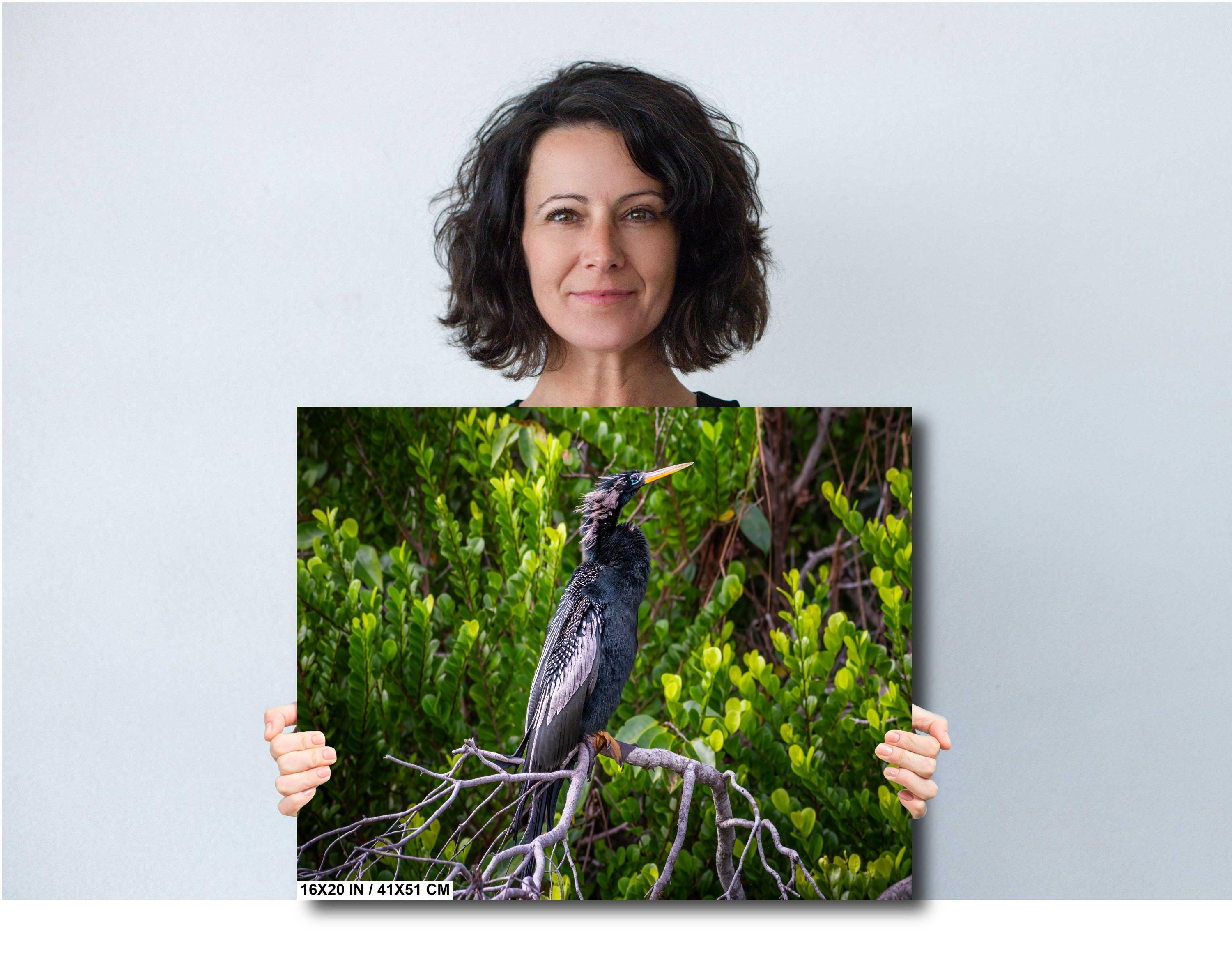 A print wall art depicting a black Anhinga bird perched on branches in a wetland setting, with vibrant green foliage in the background.
