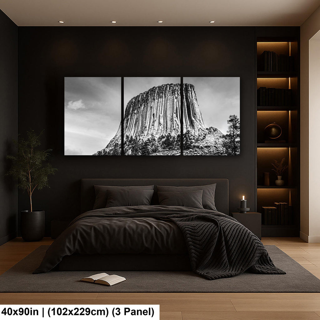 Basalt Monolith: Devils Tower Wyoming Black and White Photography Wall Art