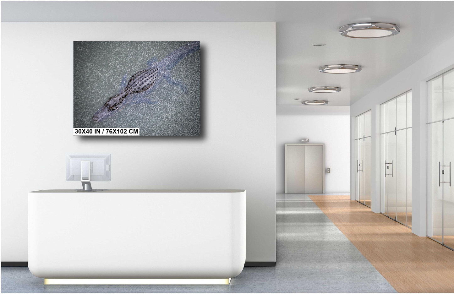 Eyes of the Everglades: Above an Alligator During Light Rain in Everglades National Park Florida Print Wall Art Aluminum/Metal/Canvas