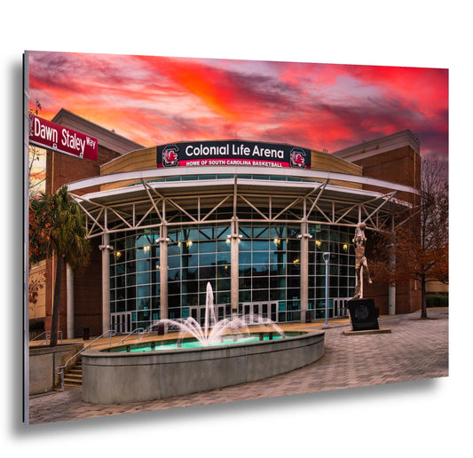 University of South Carolina Basketball Arena Print: A'ja Wilson Statue, Gamecocks Photography