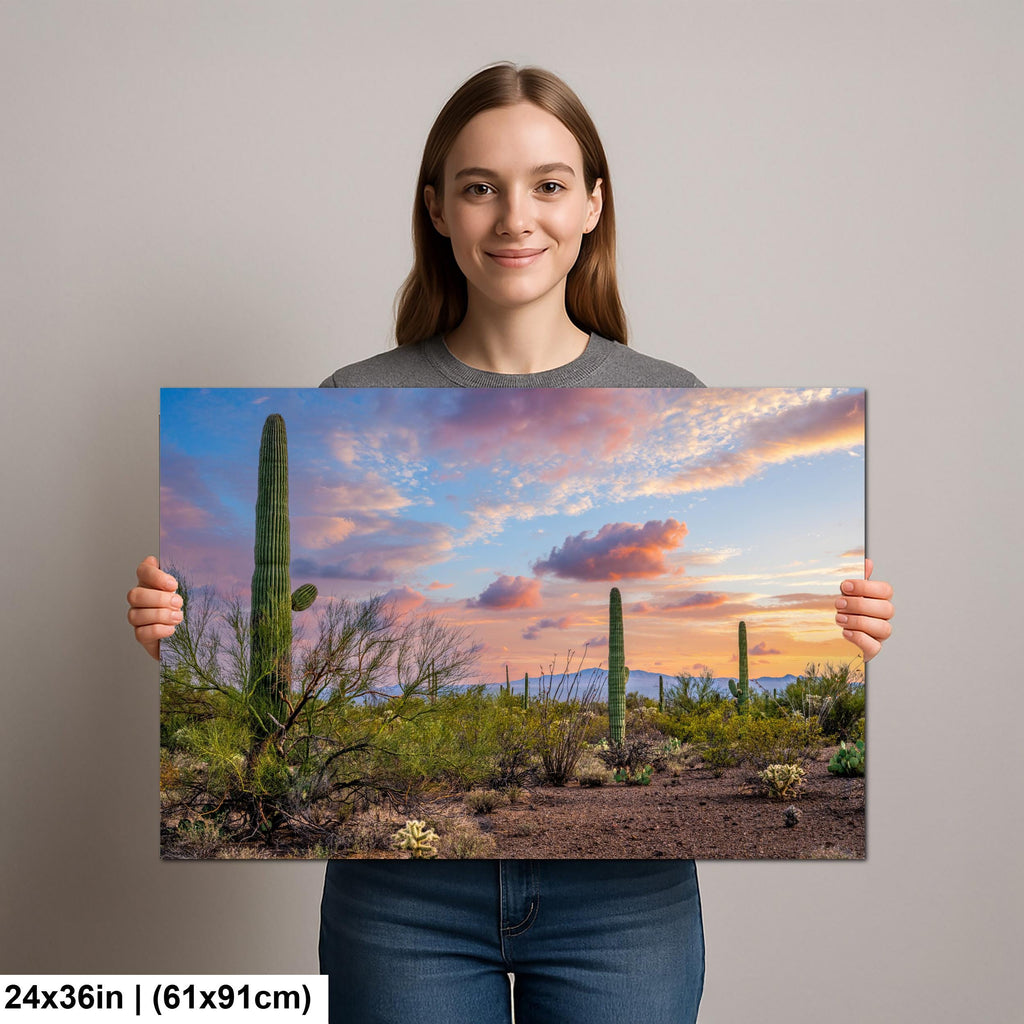 Sonoran Desert Sunset Photography Print, Saguaro Cactus Arizona Landscape, Tucson Mountain Wall Art, Southwest Home Decor