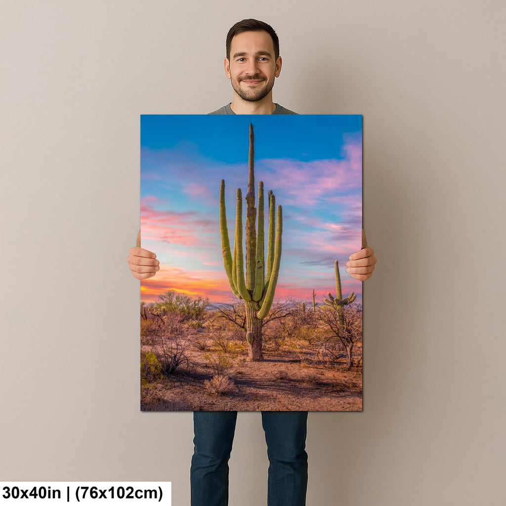 Multi-Arm Saguaro at Sunset - Saguaro National Park East Tucson Arizona Photography Print
