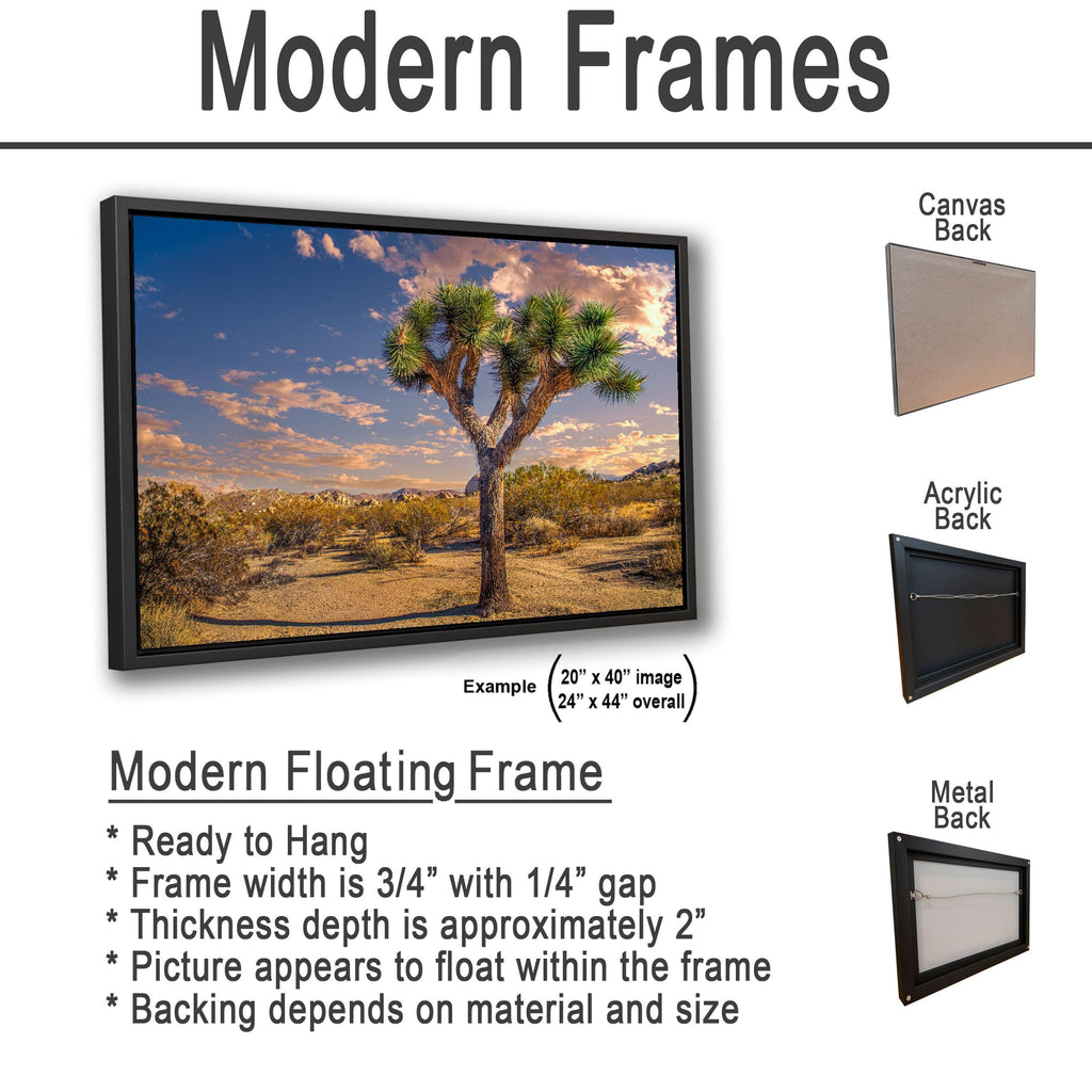 Desert Icon: Joshua Tree National Park California Landscape Photo Wall Art