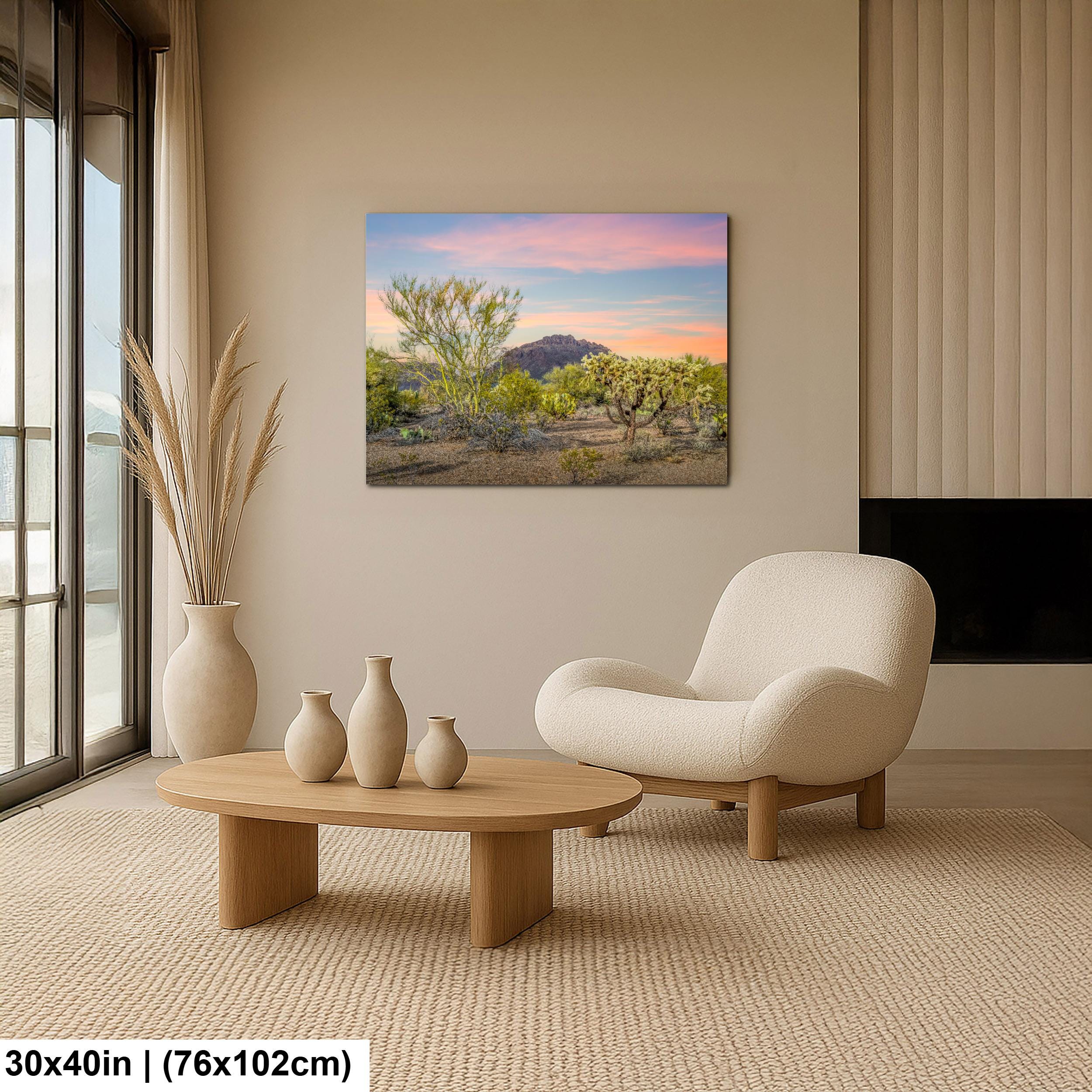 Cholla Cactus Sunset with Mountain View, Tucson Arizona Photography Print