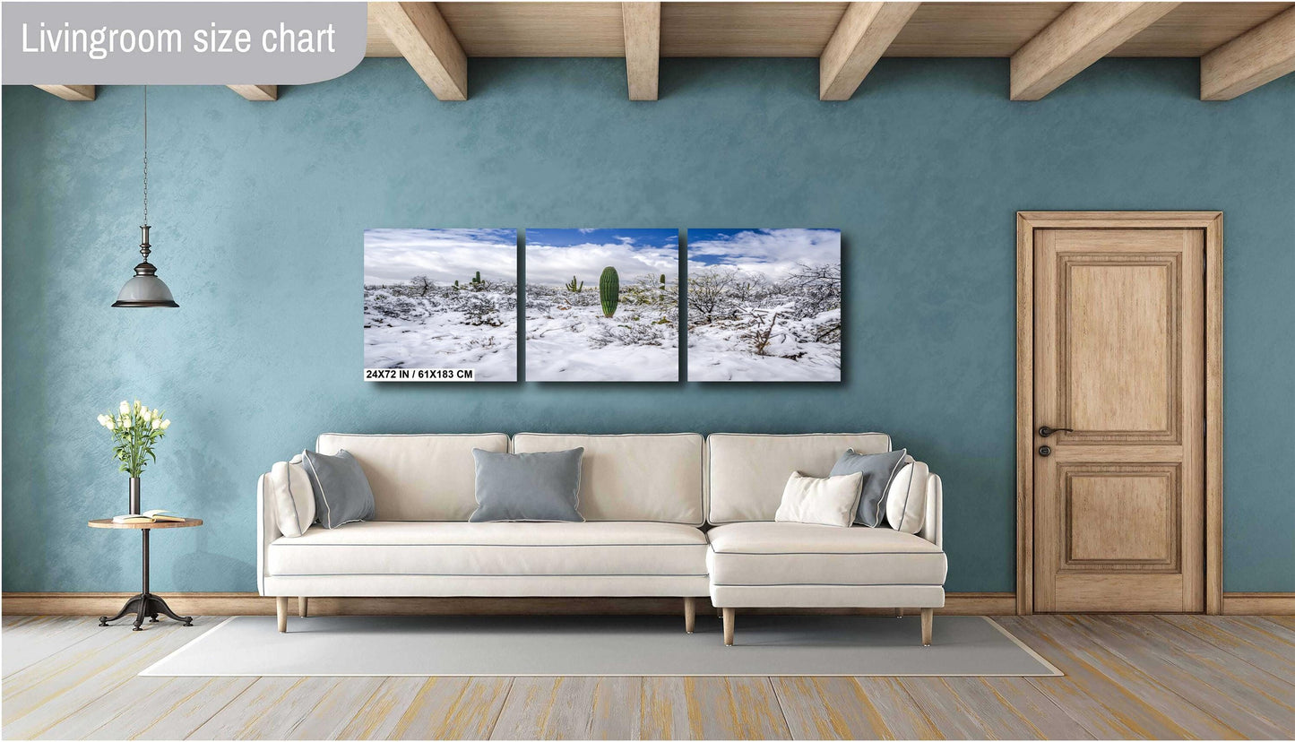 Saguaro National Park Print – Desert Wall Art | Winter Cactus Art in Tucson Arizona