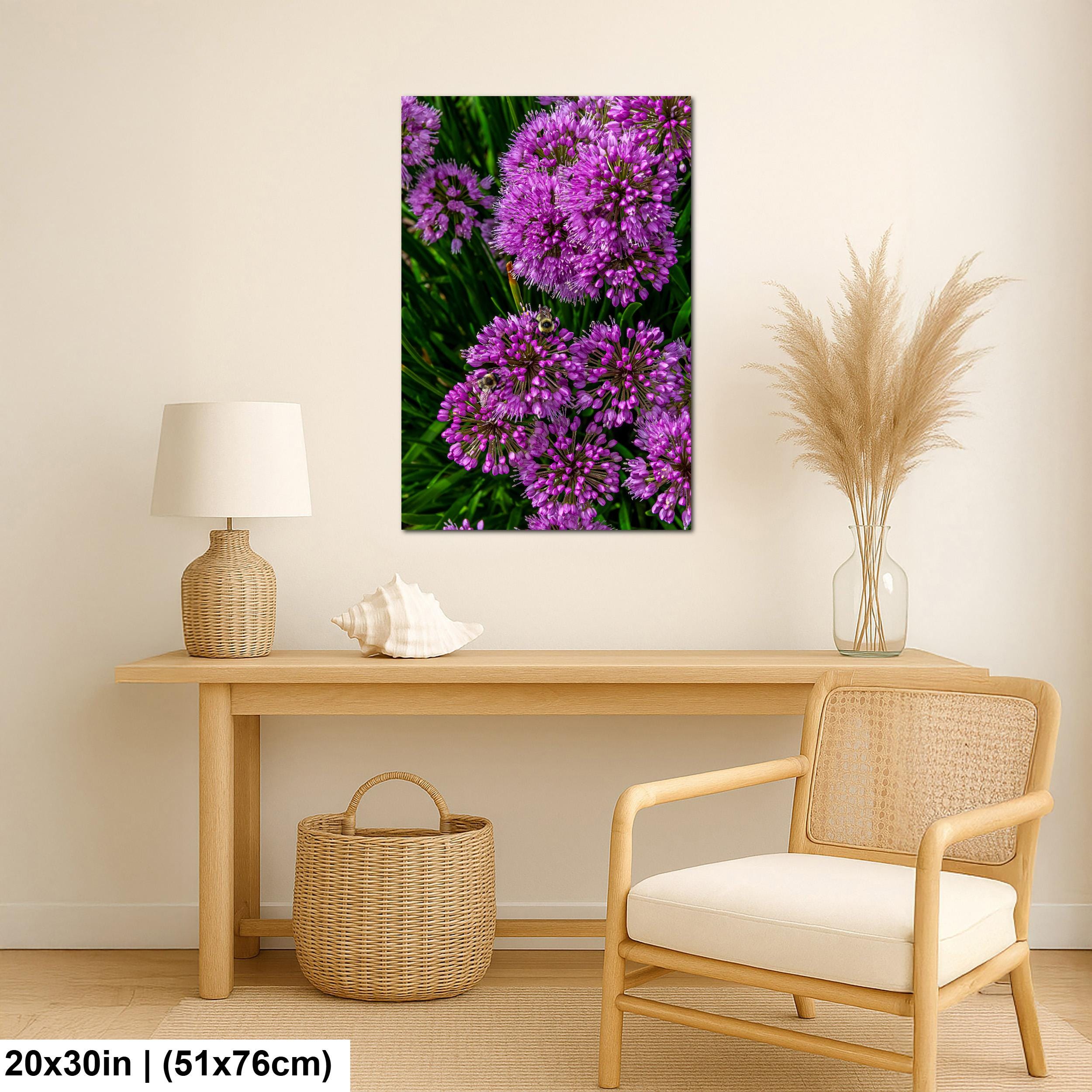 Purple Allium Blooms: Botanical Macro Flower Garden Photography Wall Art