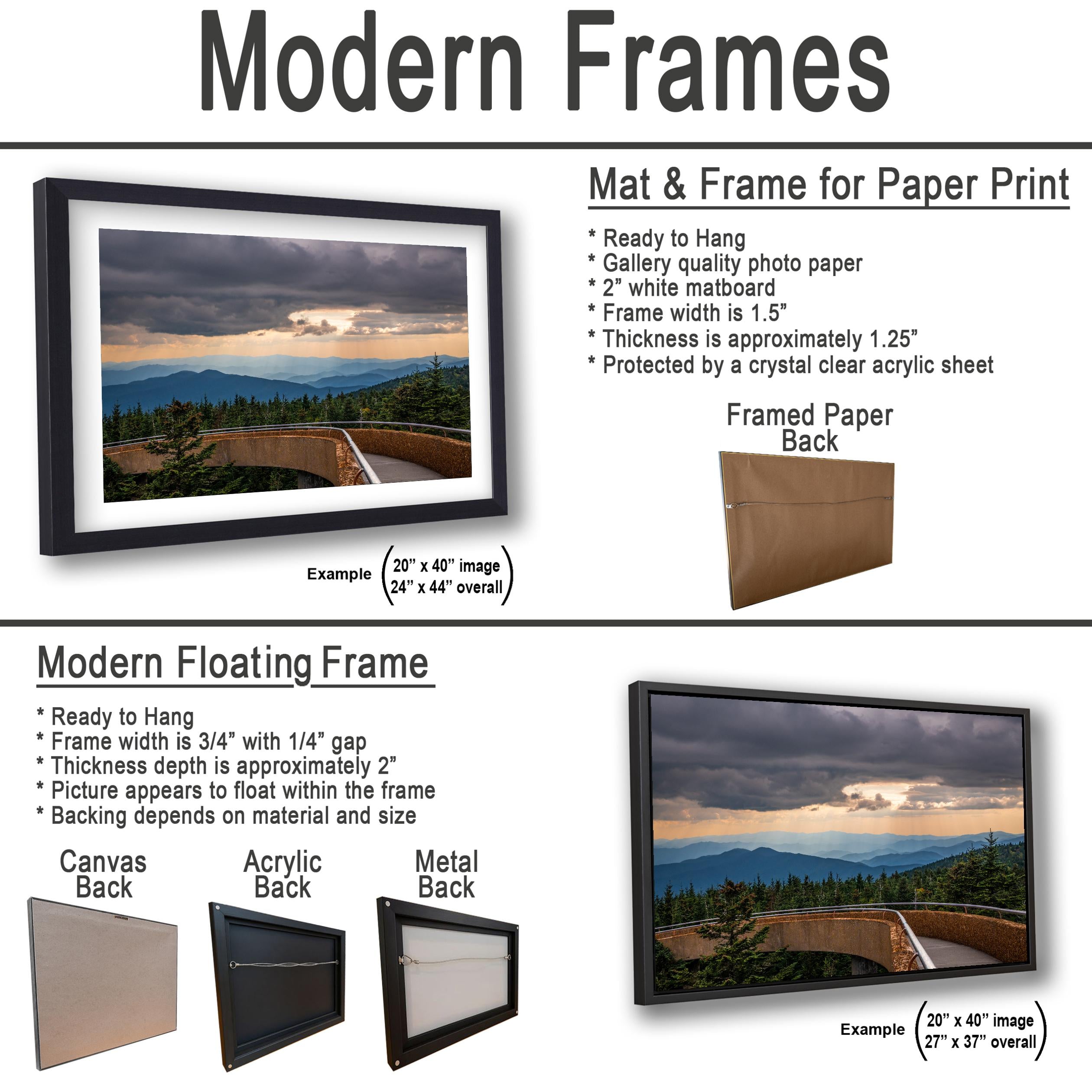 Storm's Light: Clingmans Dome Great Smoky Mountains Tennesse Photo Wall Art