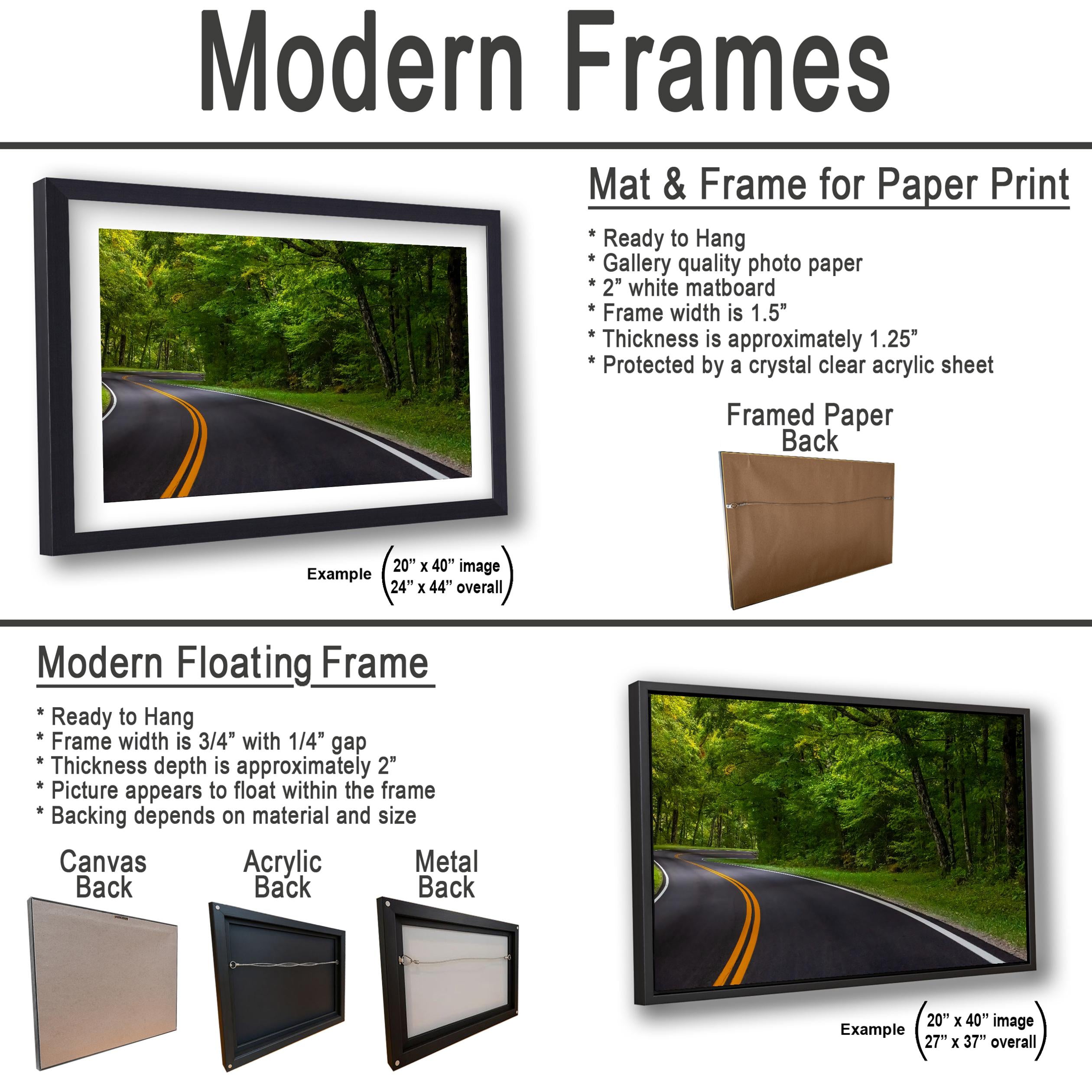 Forest Passage: Curved Road Great Smoky Mountains National Park Wall Art