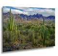 Sonoran Desert Landscape with Saguaros and Mountain Ridge - Tucson Arizona Photography Print