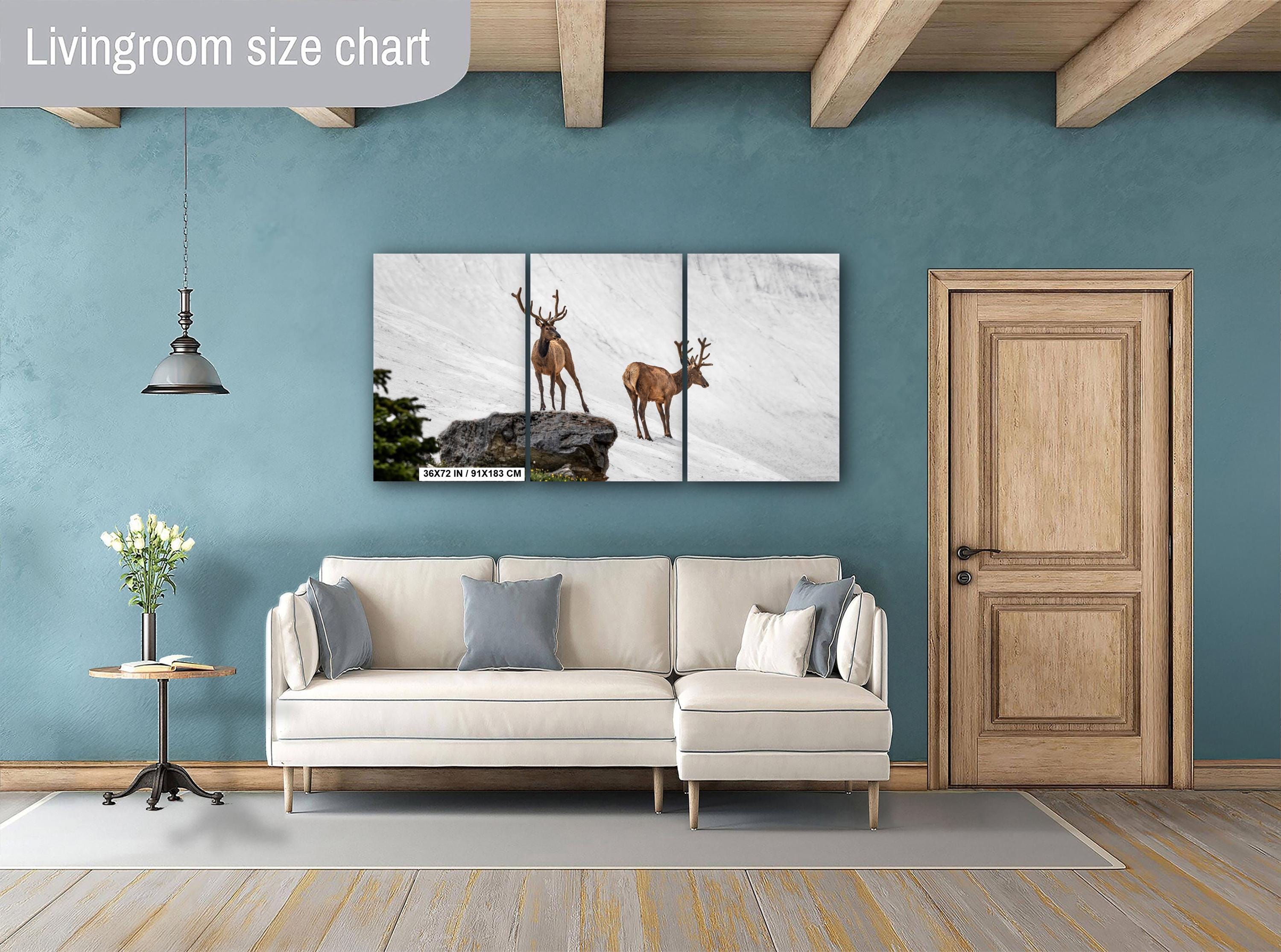 Bull Elk Duo on Summer Snow Rocky Mountain National Park Colorado Photo Print, Alpine Wildlife Wall Art Decor Aluminum/Acrylic/Metal/Canvas