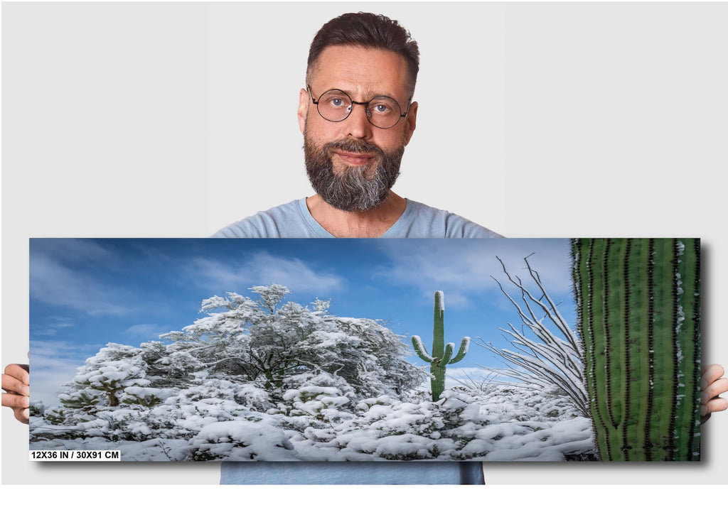The White Desert: Snowfall in Saguaro National Park Tucson Arizona