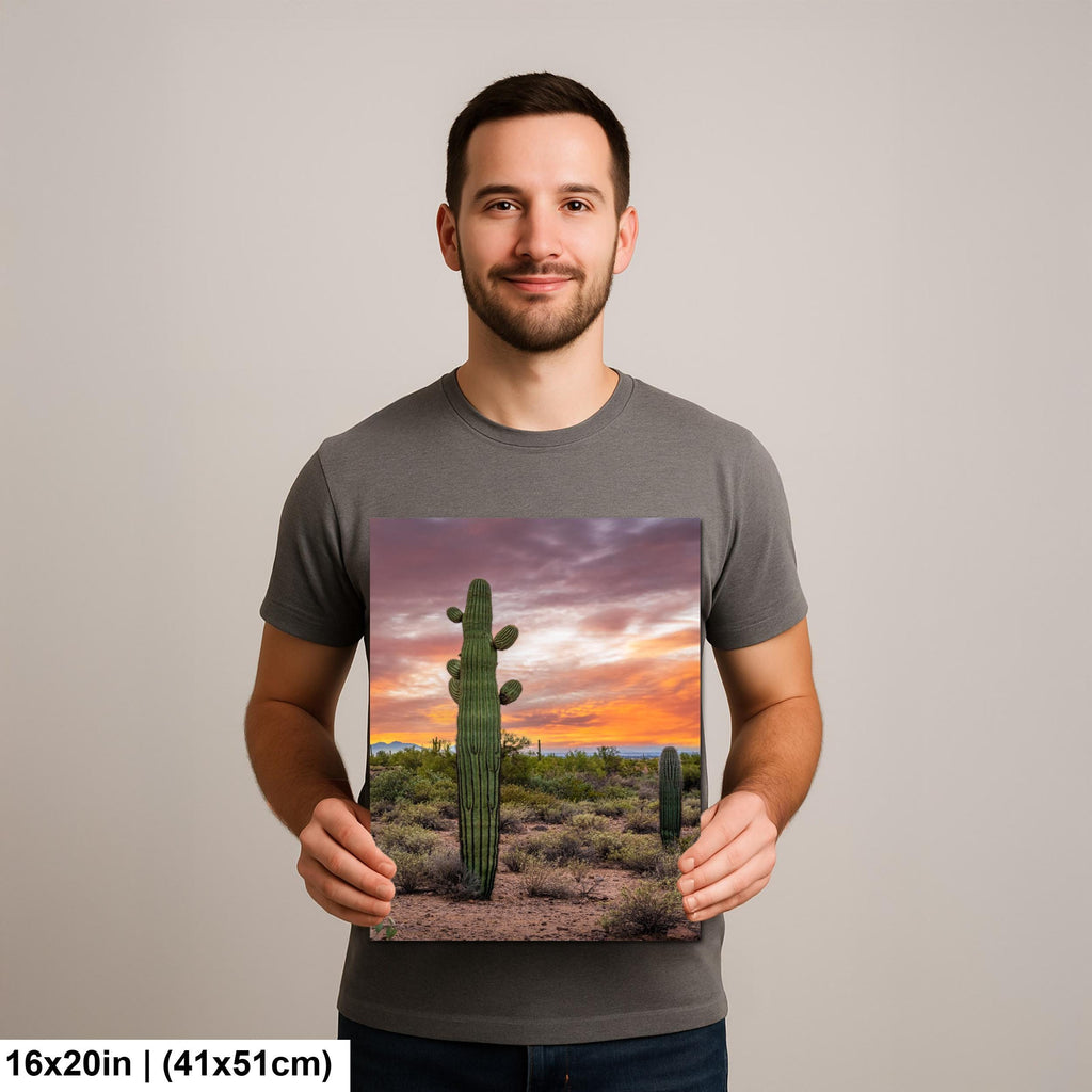 Sonoran Desert with Tall Saguaro Cactus Arizona Wall Art Photography Hanging Home Decor