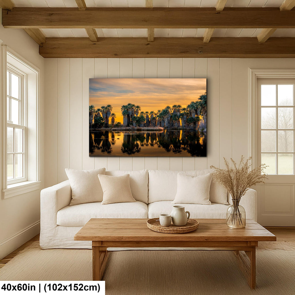 Agua Caliente Desert Palm Oasis Sunset Tucson Arizona Photography Print