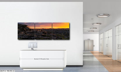 Sonoran Desert Sunset with Cholla and Saguaros - Casa Grande Arizona Photography Print