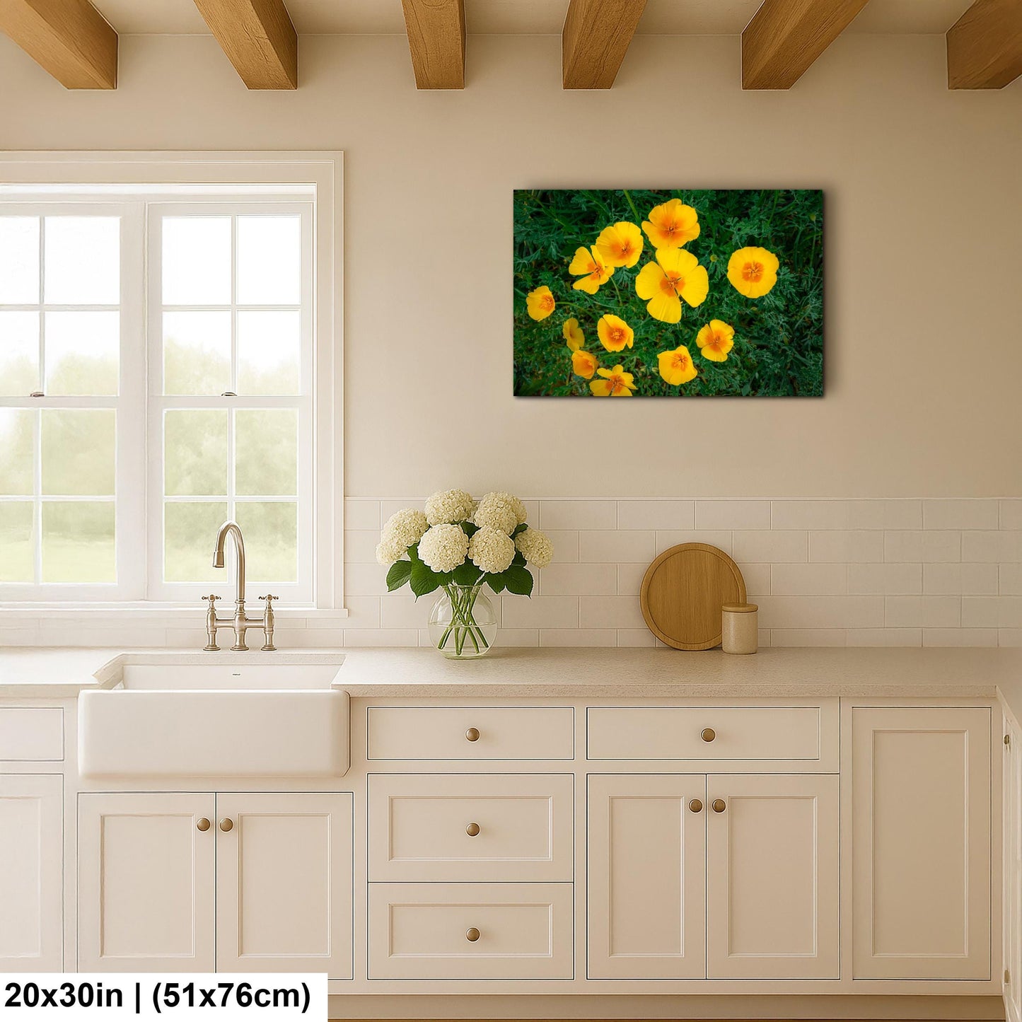 California Poppy Flowers in Bloom - Sonoran Desert Arizona - Tucson Catalina State Park Photography Print