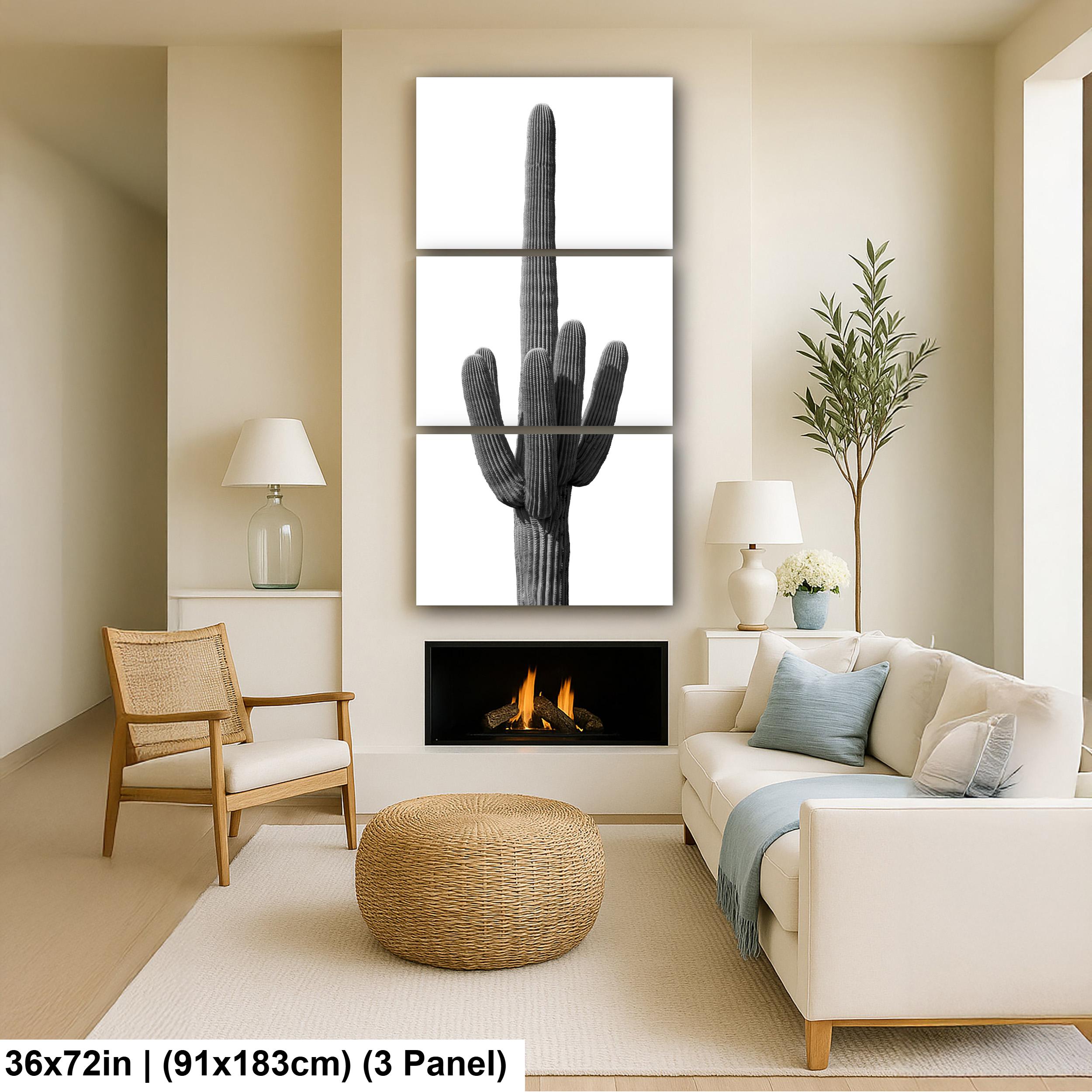 Saguaro Cactus Photography: Black and White Desert Minimalist Wall Art