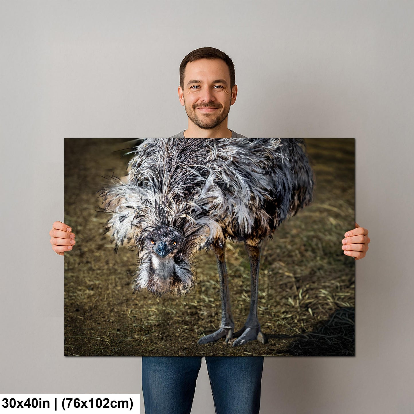 Emu Wildlife Portrait with Textured Feathers - Benson Arizona Photography Print