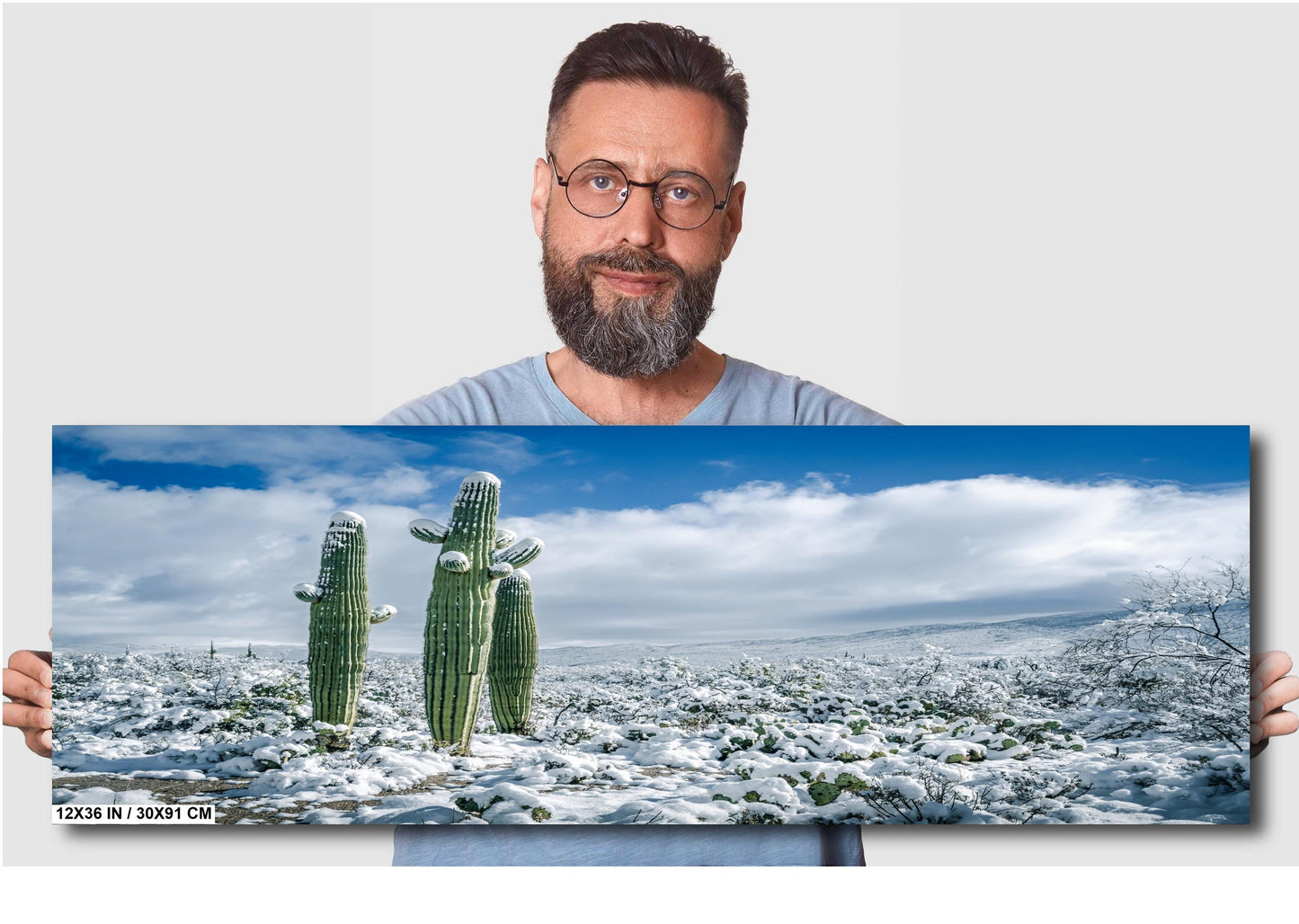 Snowy Saguaro Cactus Print: Tucson Arizona Winter Wonderland