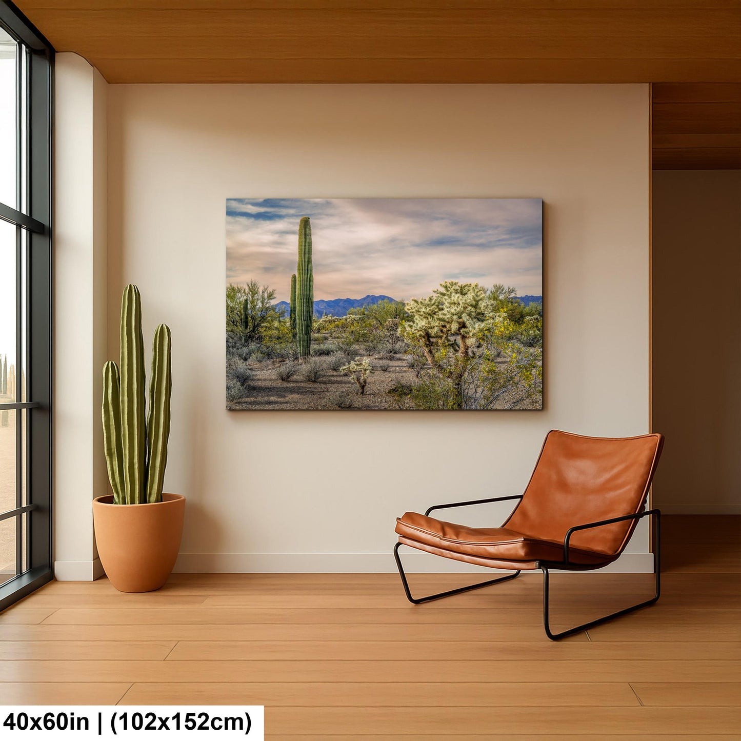 Saguaro and Cholla Desert Landscape, Tucson Arizona Photography Print, Southwest Wall Art, Sonoran Desert Decor