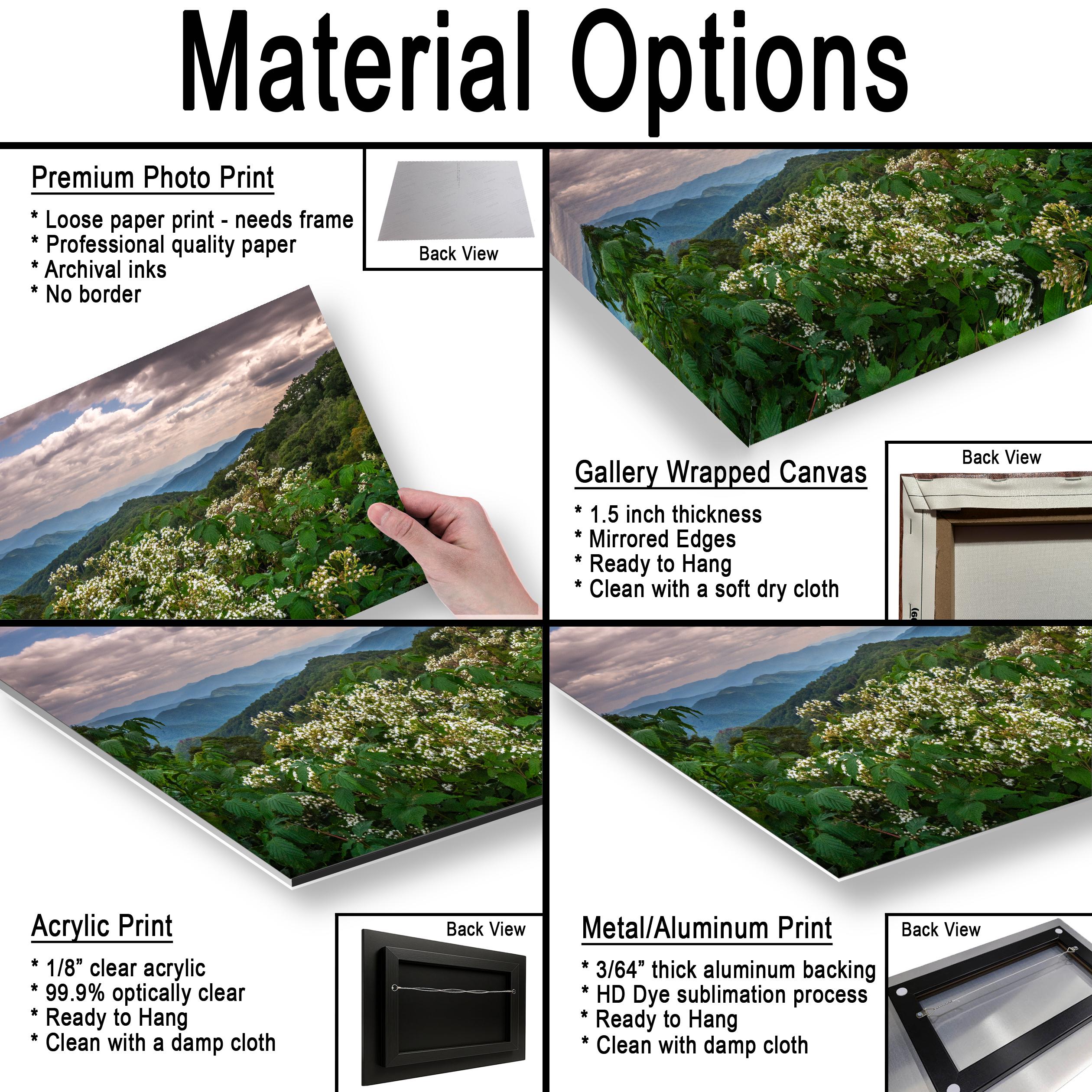 Mountain Meadow: Wildflowers Great Smoky Mountains Tennessee Photo Wall Art