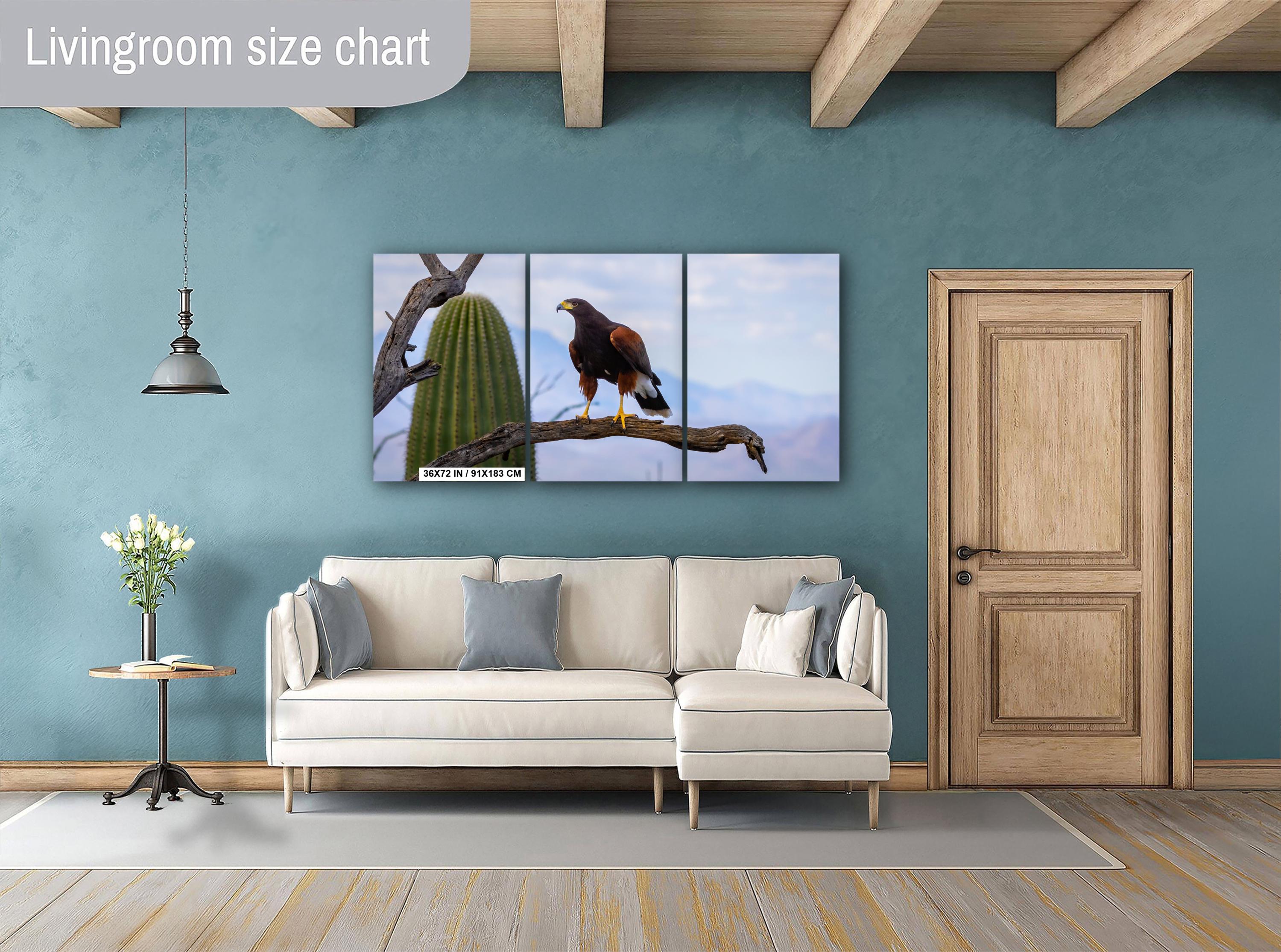 Harris's Hawk Desert Photography Print: Arizona Wildlife Art