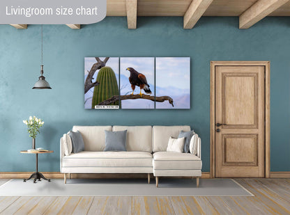 Harris's Hawk Desert Photography Print: Arizona Wildlife Art