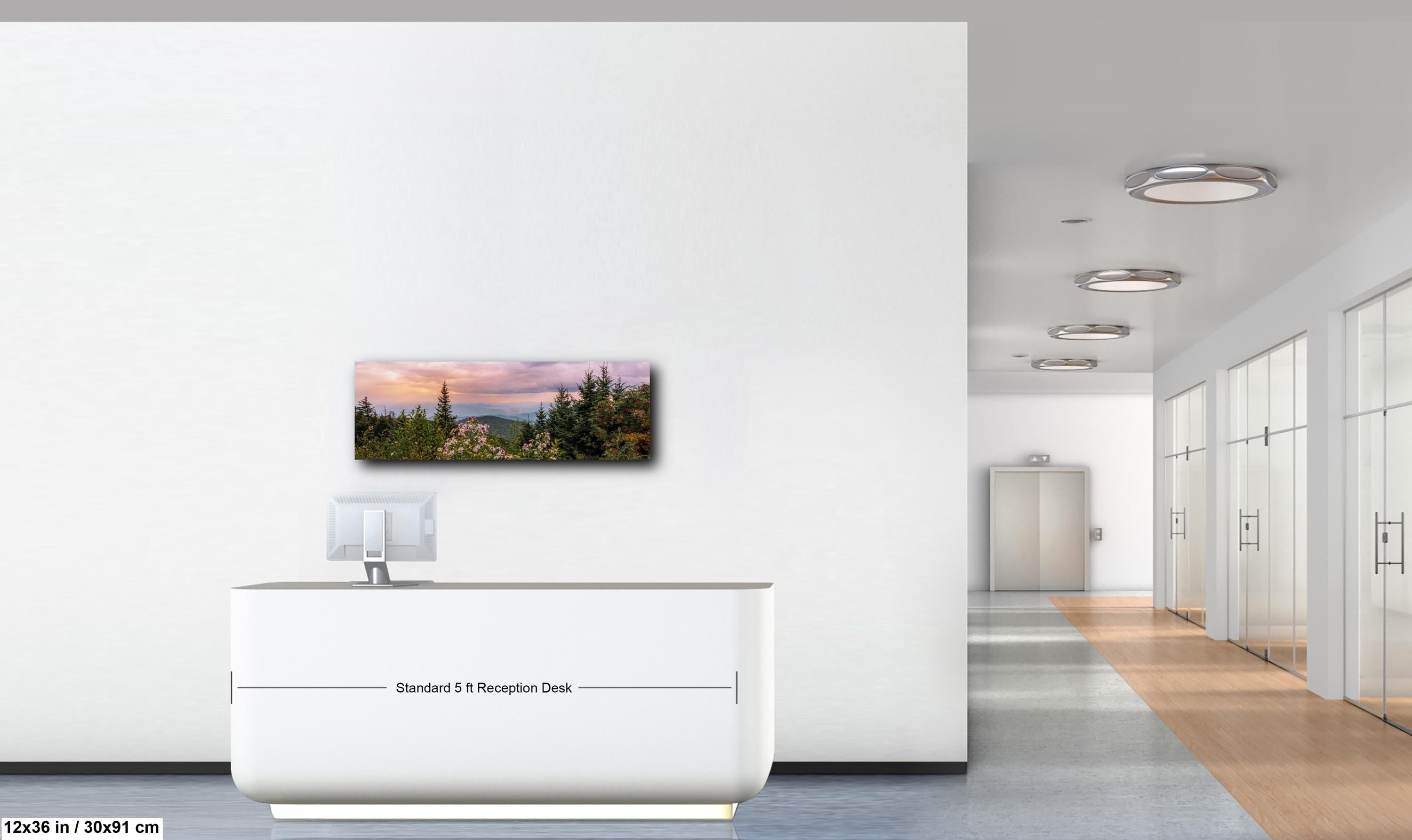 Mountain Wildflowers: Great Smoky Mountains Tennessee Photography Wall Art