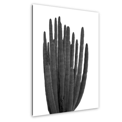 Black and white wall art print of an organ pipe cactus with tall vertical arms and ribbed detail.