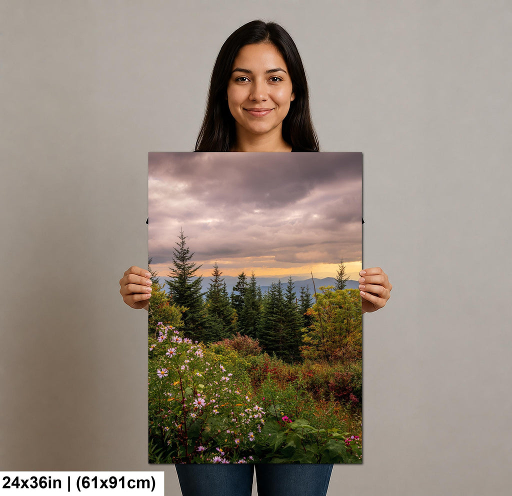 Mountain Bouquet: Great Smoky Mountains Tennessee Wildflower Photo Wall Art