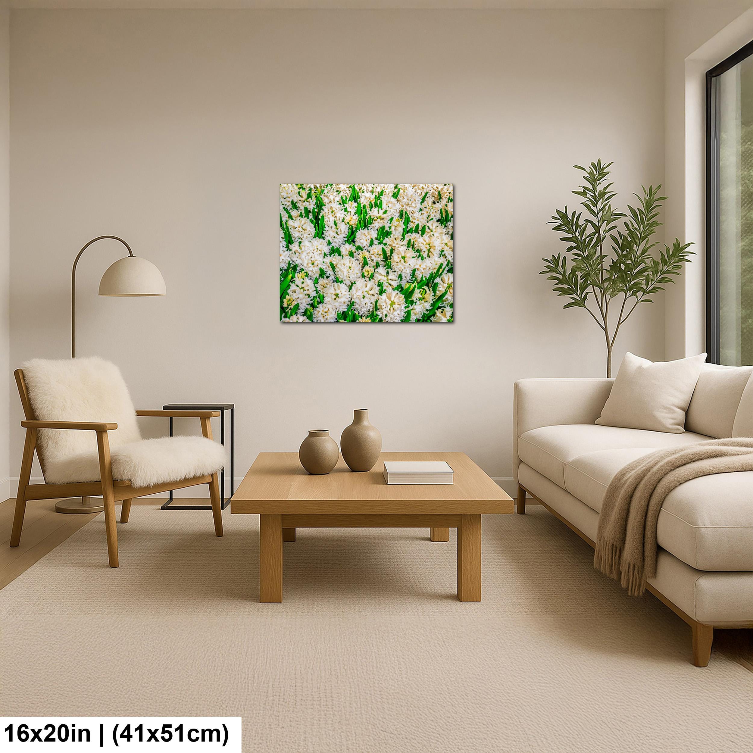 Spring Whites: White Hyacinth Flowers Botanical Photography Wall Art