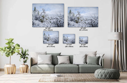 Saguaro National Park Print – Snow Covered Cacti Art | Desert Wall Art Canvas