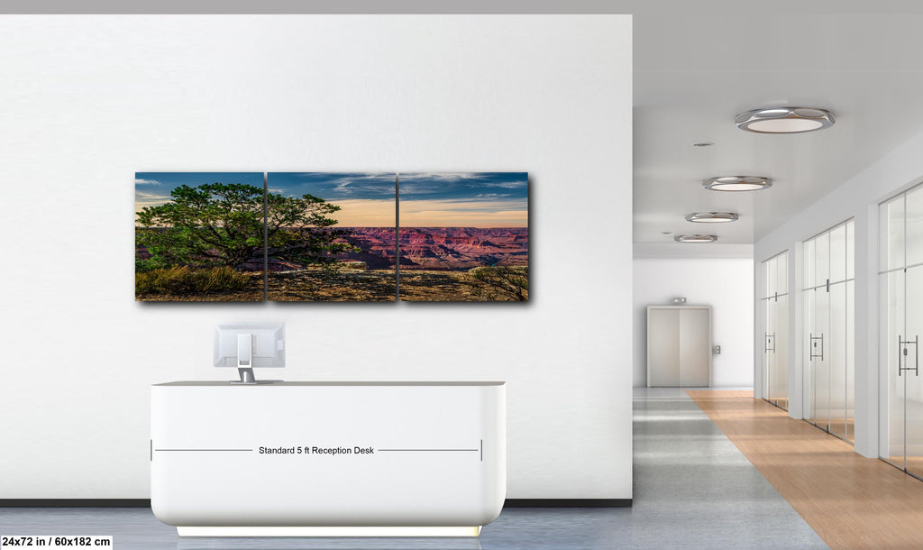 Juniper Tree Overlooking Grand Canyon, South Rim Arizona Wall Art, Canyon Landscape Photography Print