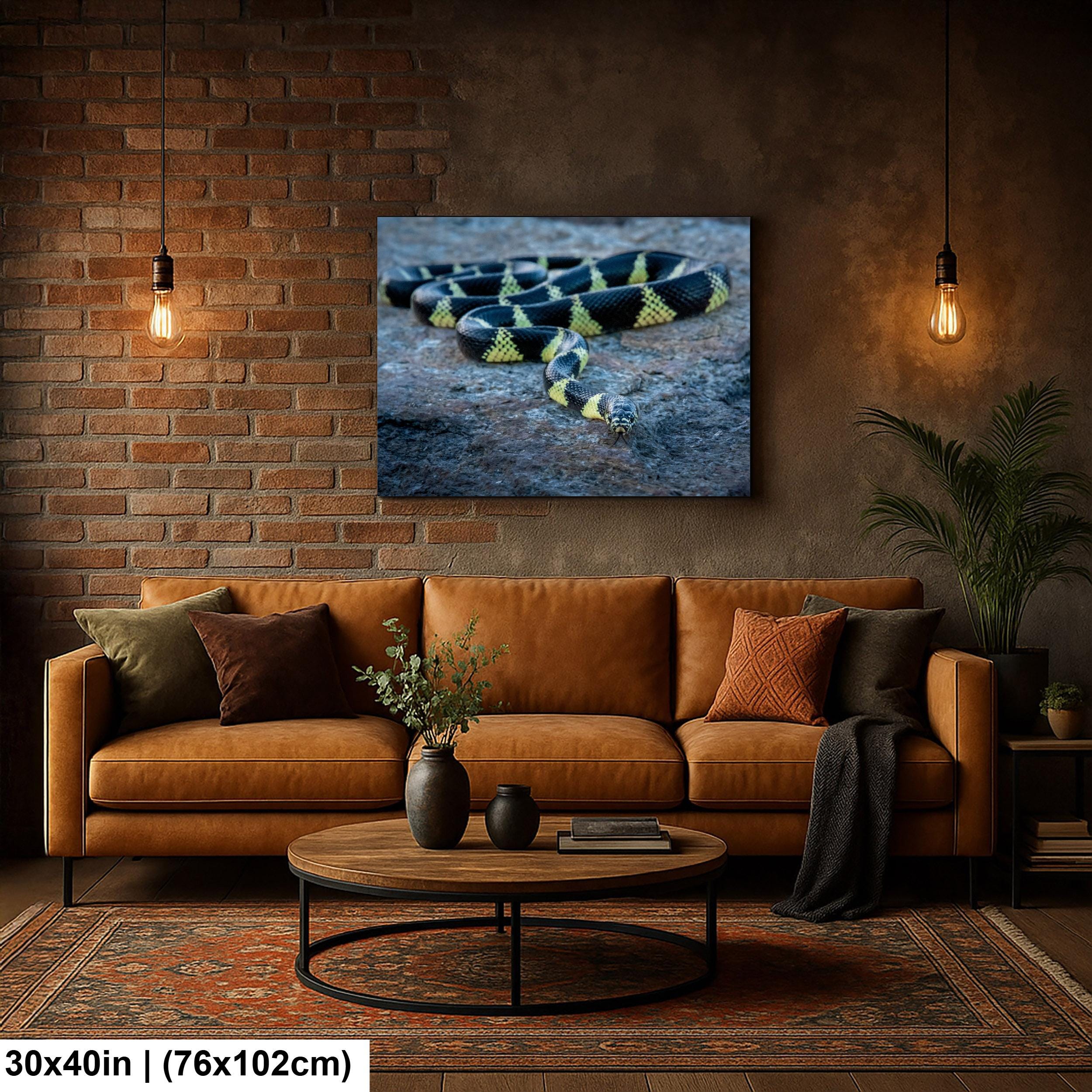 California Kingsnake Print – Desert Snake Art | Wildlife Snake Photo Wall Decor